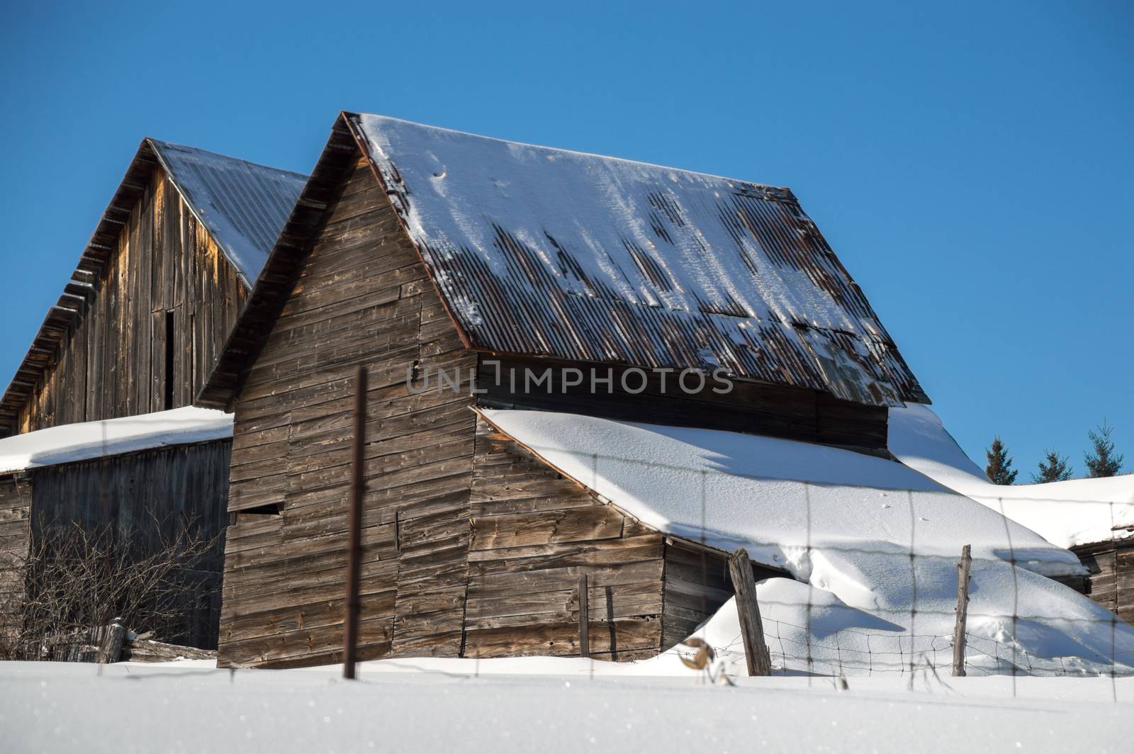 Two snow covered barns in the sunshine in Northern Ontario. Blue sky and fresh white snow.