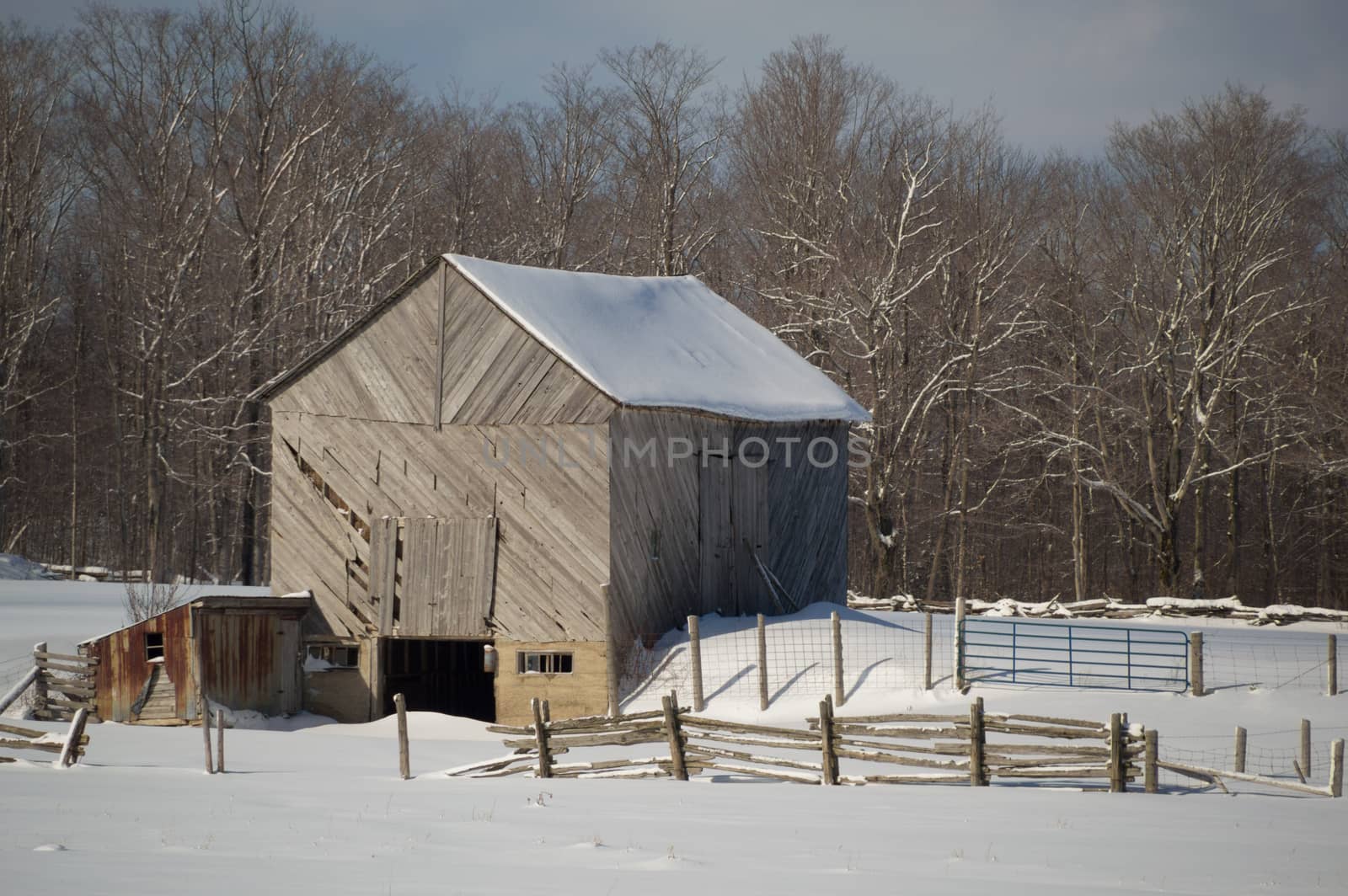 Snowy old  barn with diagonal boards and barnyard by Sublimage