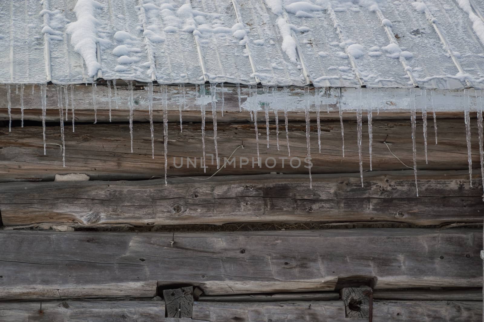 Wintertime snowy old pioneer log cabin barn with icicles. Sunny day.  closeup