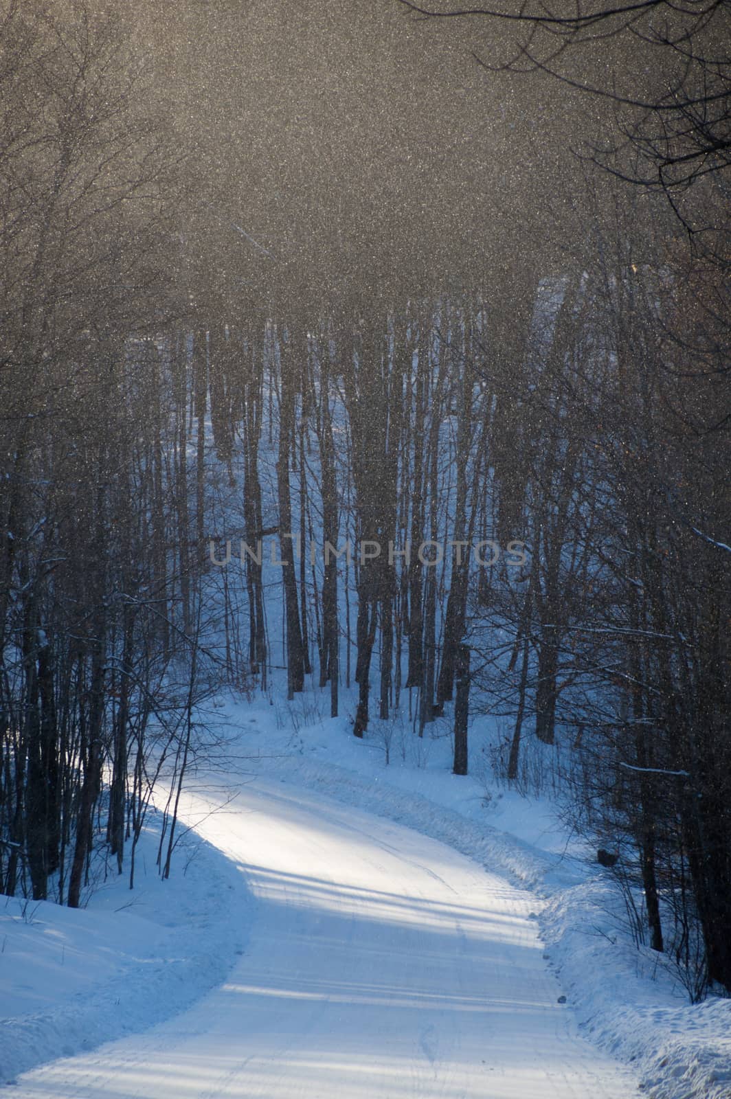 Snowy road and woodland in a snow squall with shadows by Sublimage