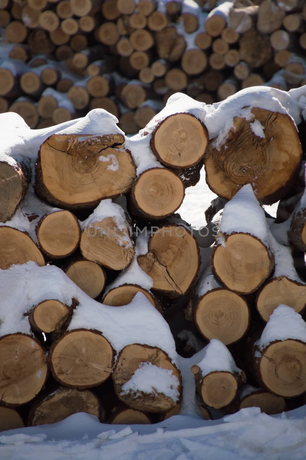 Stacked firewood lumber logs icovered in snow. Another stack of logs in the background behind.