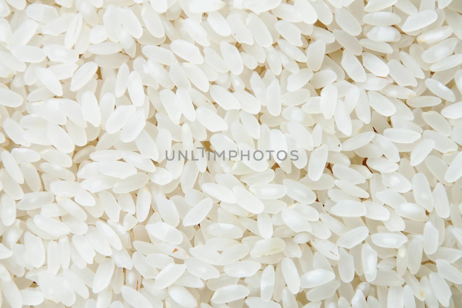 close-up shot of the rice background image