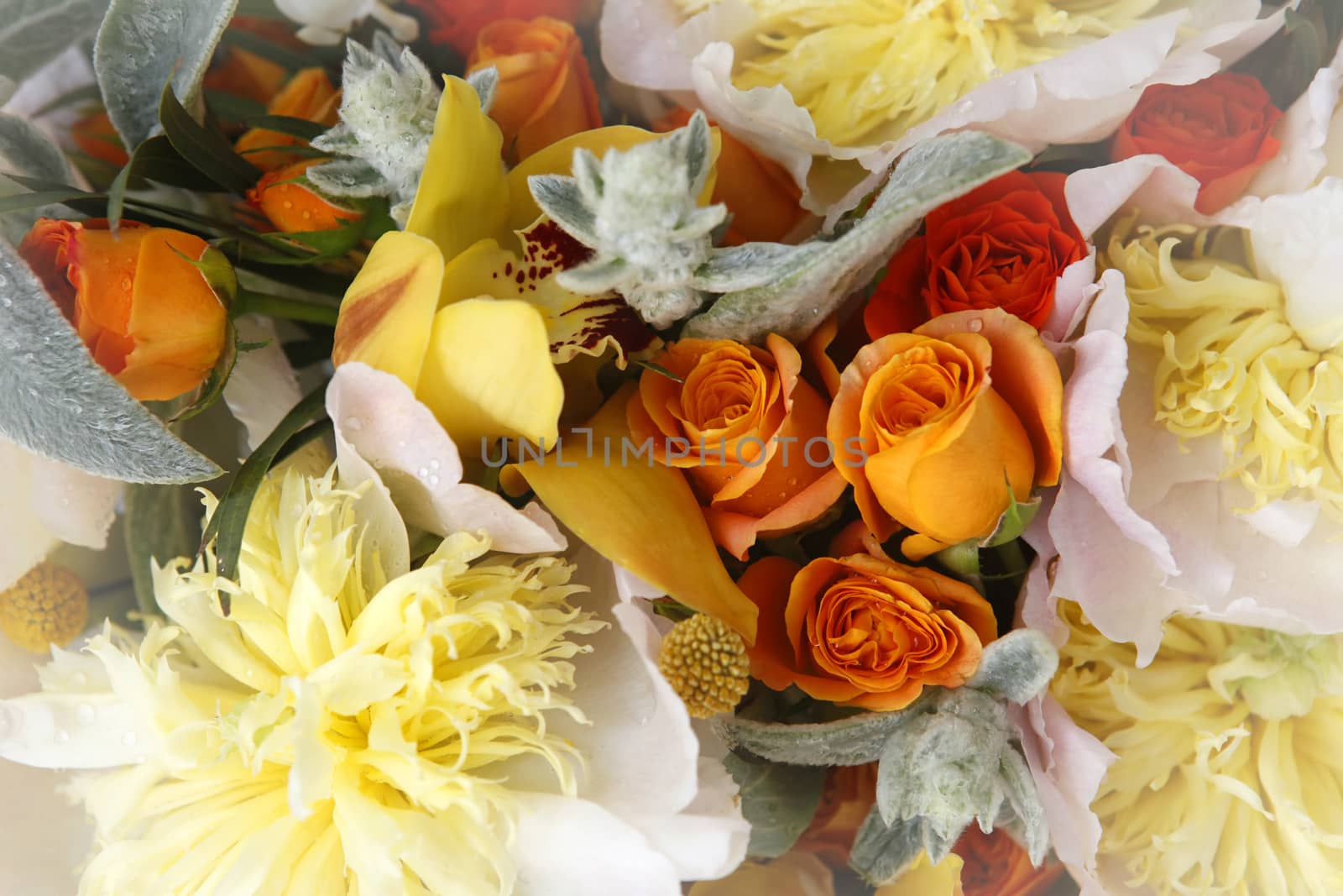 Wedding bouquet of roses, orchids and peonies