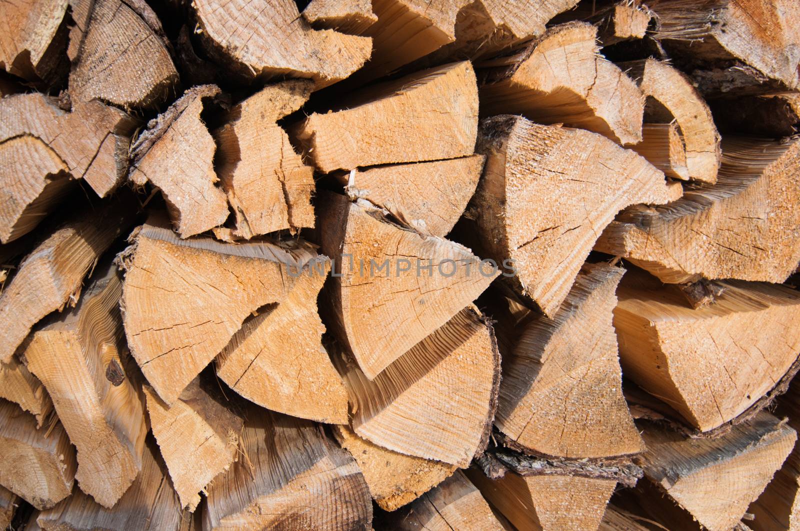 pile of  cutted wood, close up
