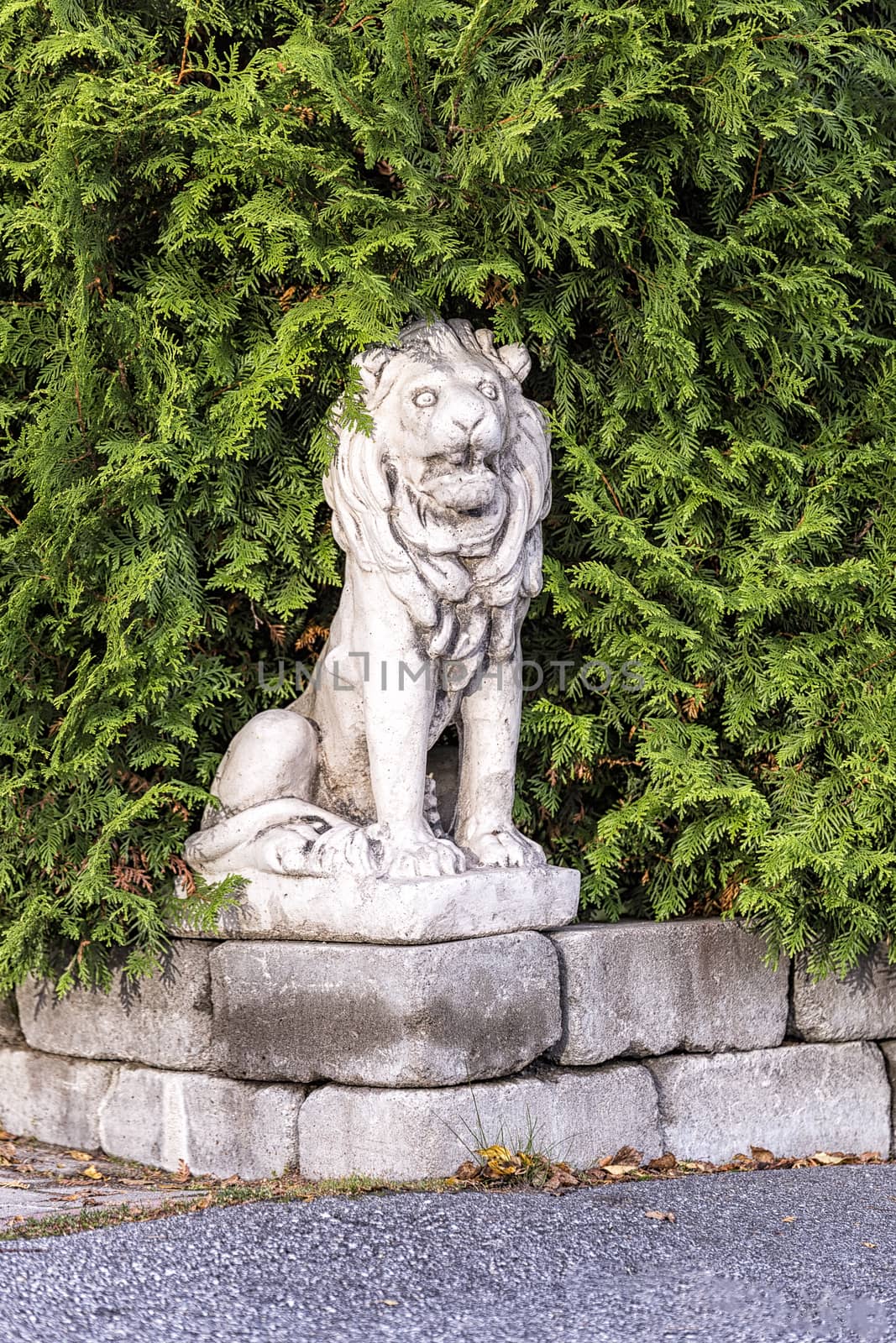 Concrete Lion in Bush.