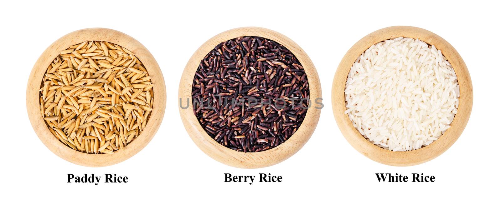 Different of berry rice, Paddy, and white rice in wooden dish by Gamjai