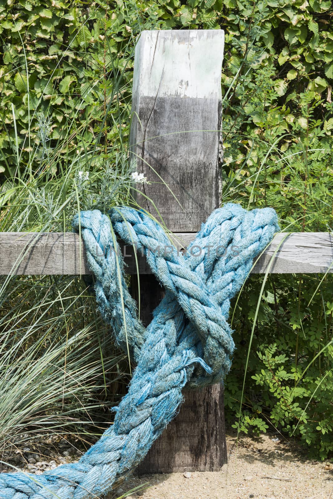 blue rope knotted wooden pole in garden