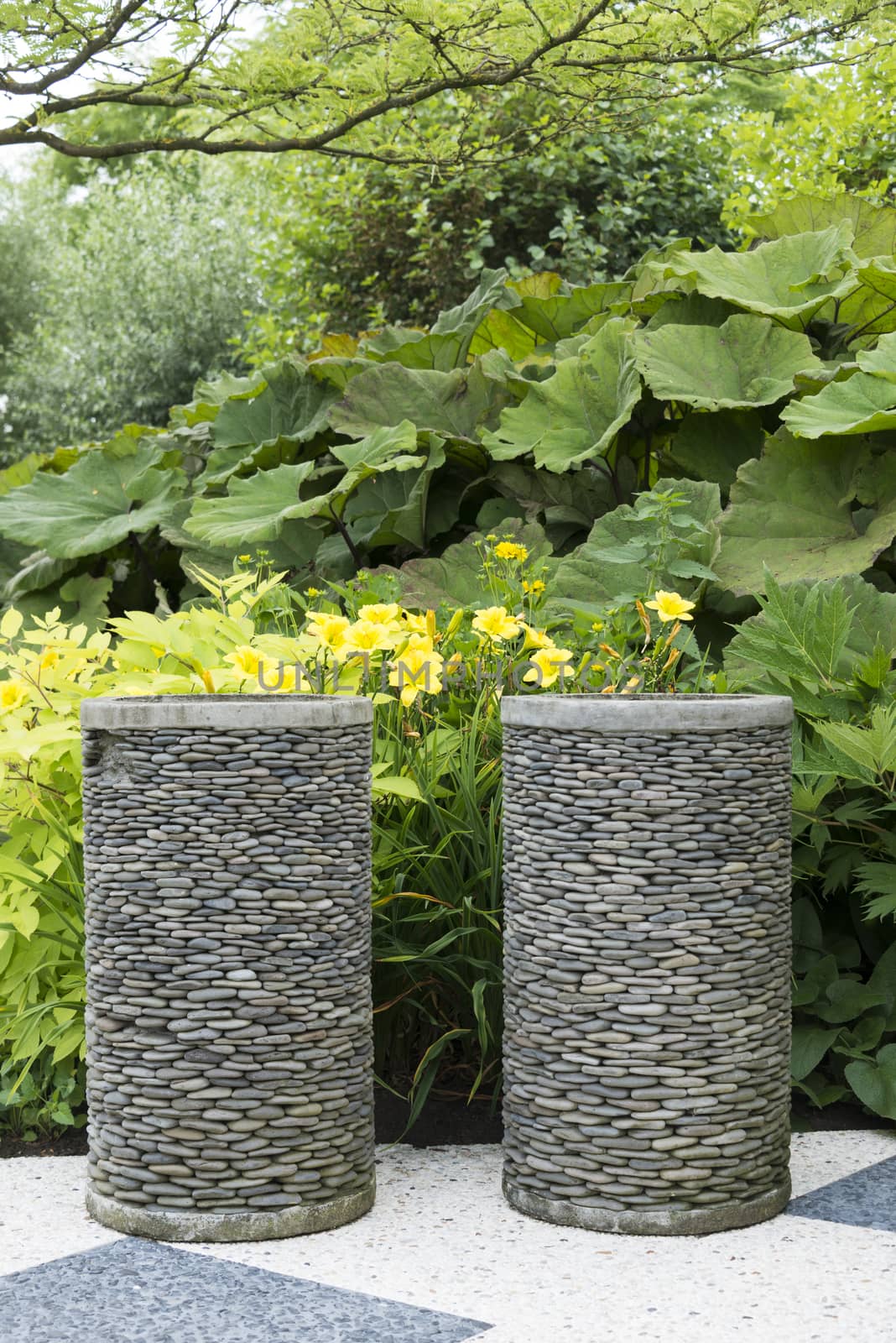 garden with big vases made of gravel with yellow plants as background