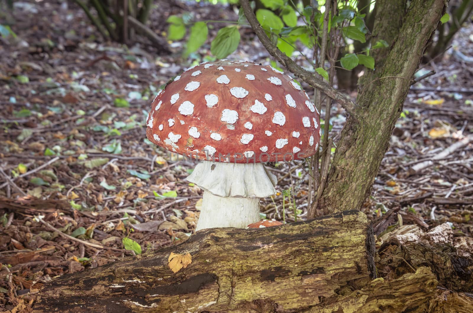 concrete imitation of fly agaric mushroom in forest