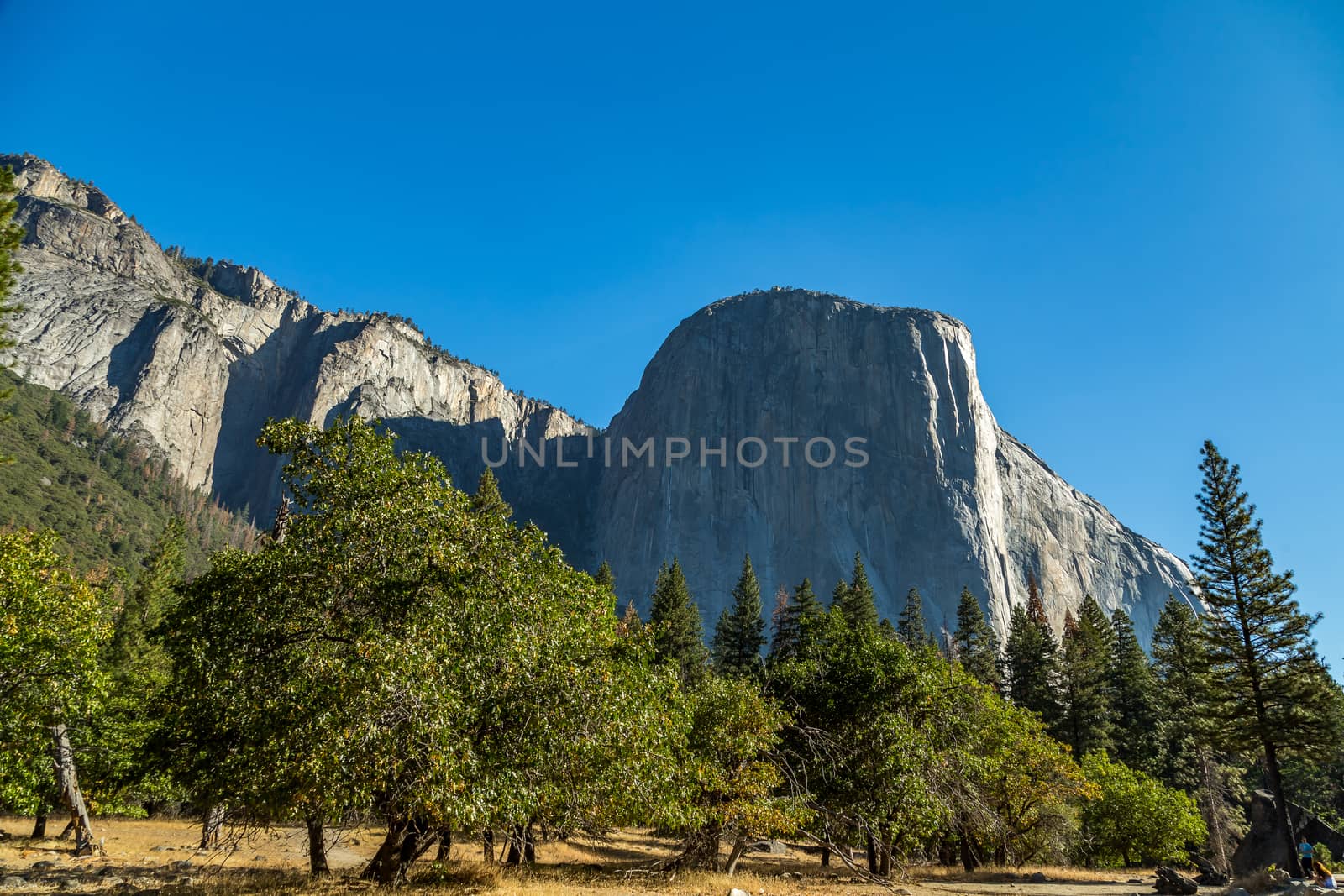 El Capitan (Spanish for The Captain, The Chief) is a vertical rock formation in Yosemite National Park, located on the north side of Yosemite Valley, near its western end. The granite monolith extends about 3,000 feet (900 m) from base to summit along its tallest face and is one of the world's favorite challenges for rock climbers and BASE jumpers.