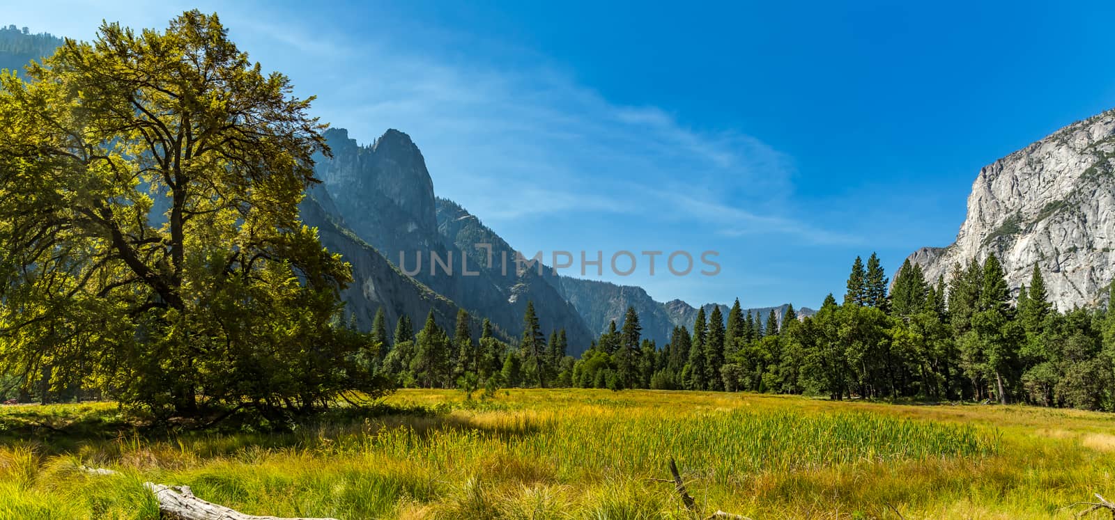 Sentinel Dome from Cooks Meadow by adifferentbrian