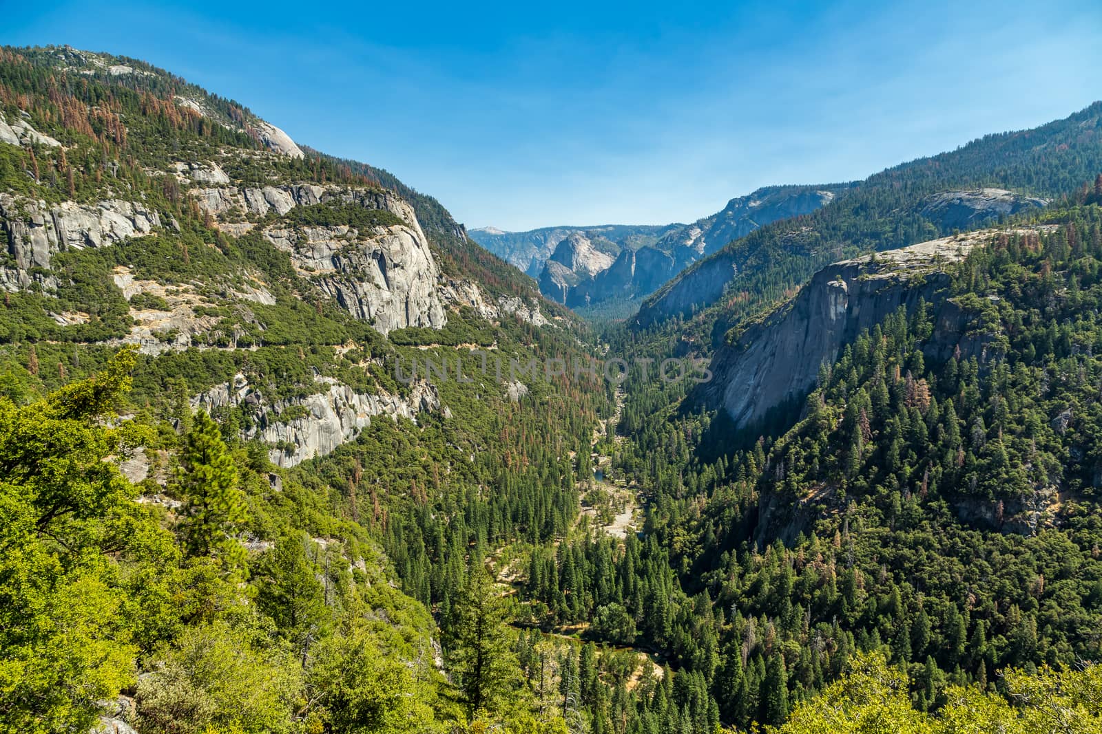 A view of Yosemite Valley from Big Oak Flat Road east towards Cathedral Rocks and Bridalveil Falls.