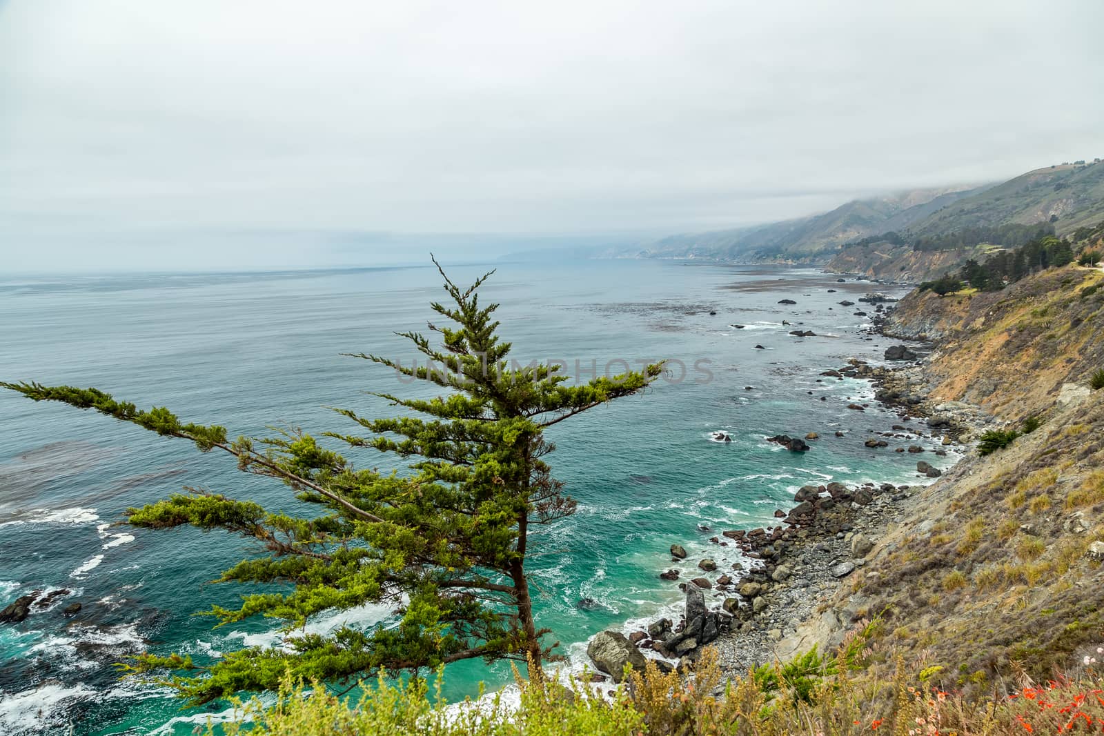 All-American Road, Big Sur, California, clouds, coast, coastline, debris, grass, green, mountains, ocean, overcast, Pacific, Pacific Coast Highway, PCH, rocks, sea, shore, sky, State Highway 1, view, water, waves