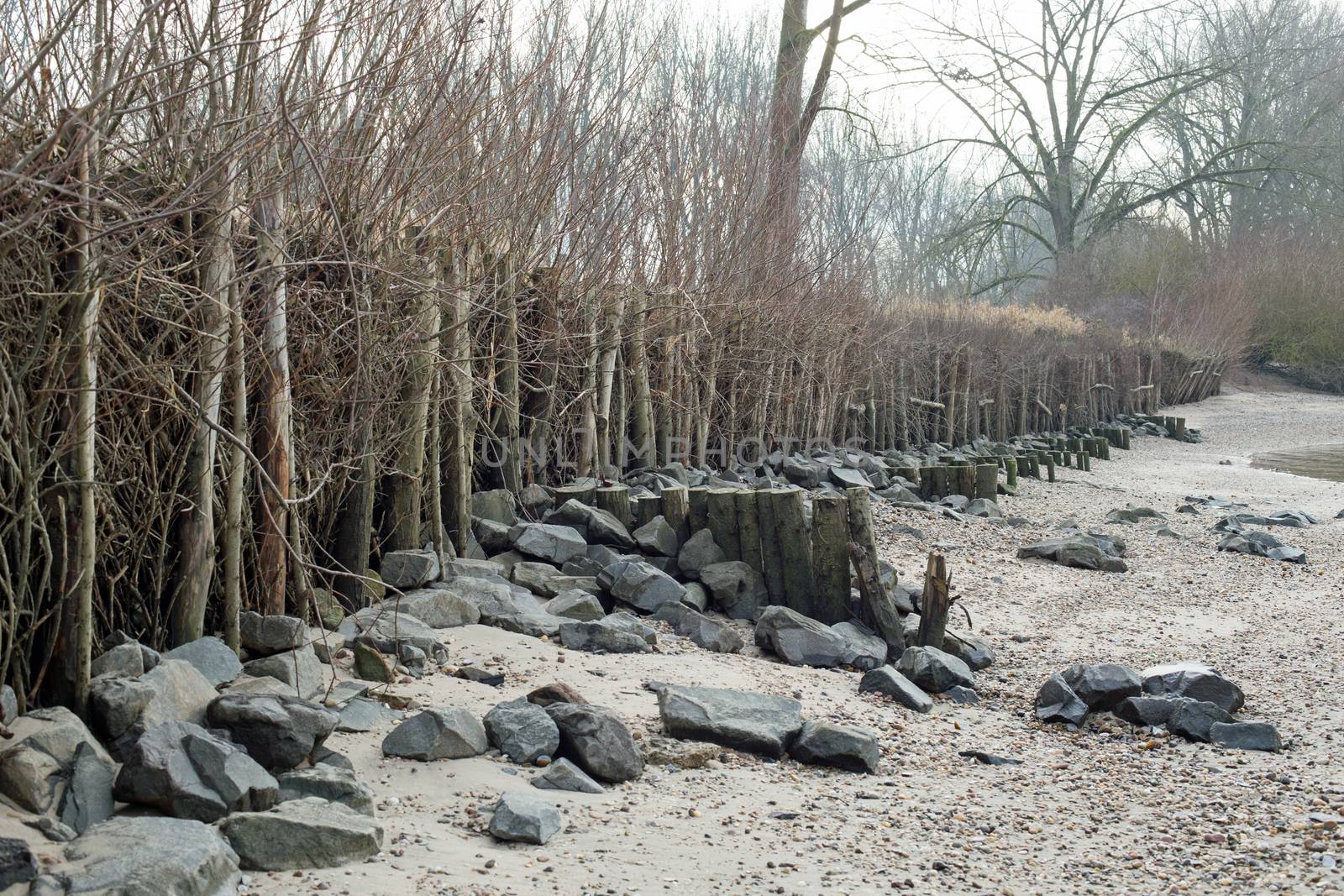 Flood protection at the shore of the rhine