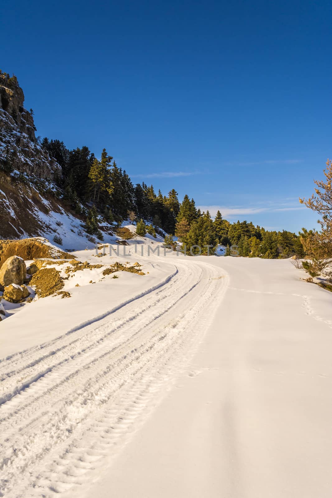 Snow road at Ziria mountain with fir trees on a winter day, South Peloponnese, Greece by ankarb