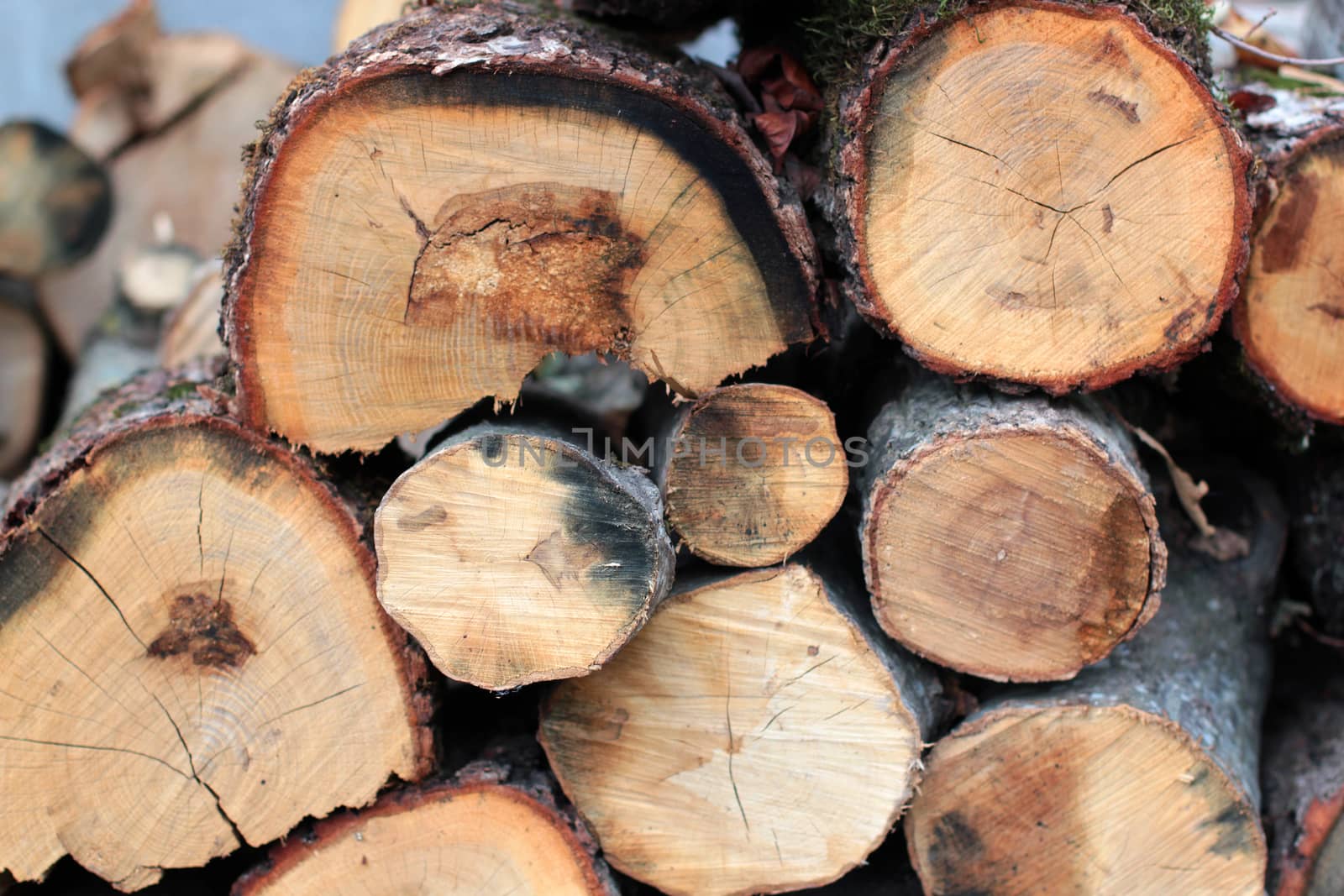 Pile of pieces of old wood in the village