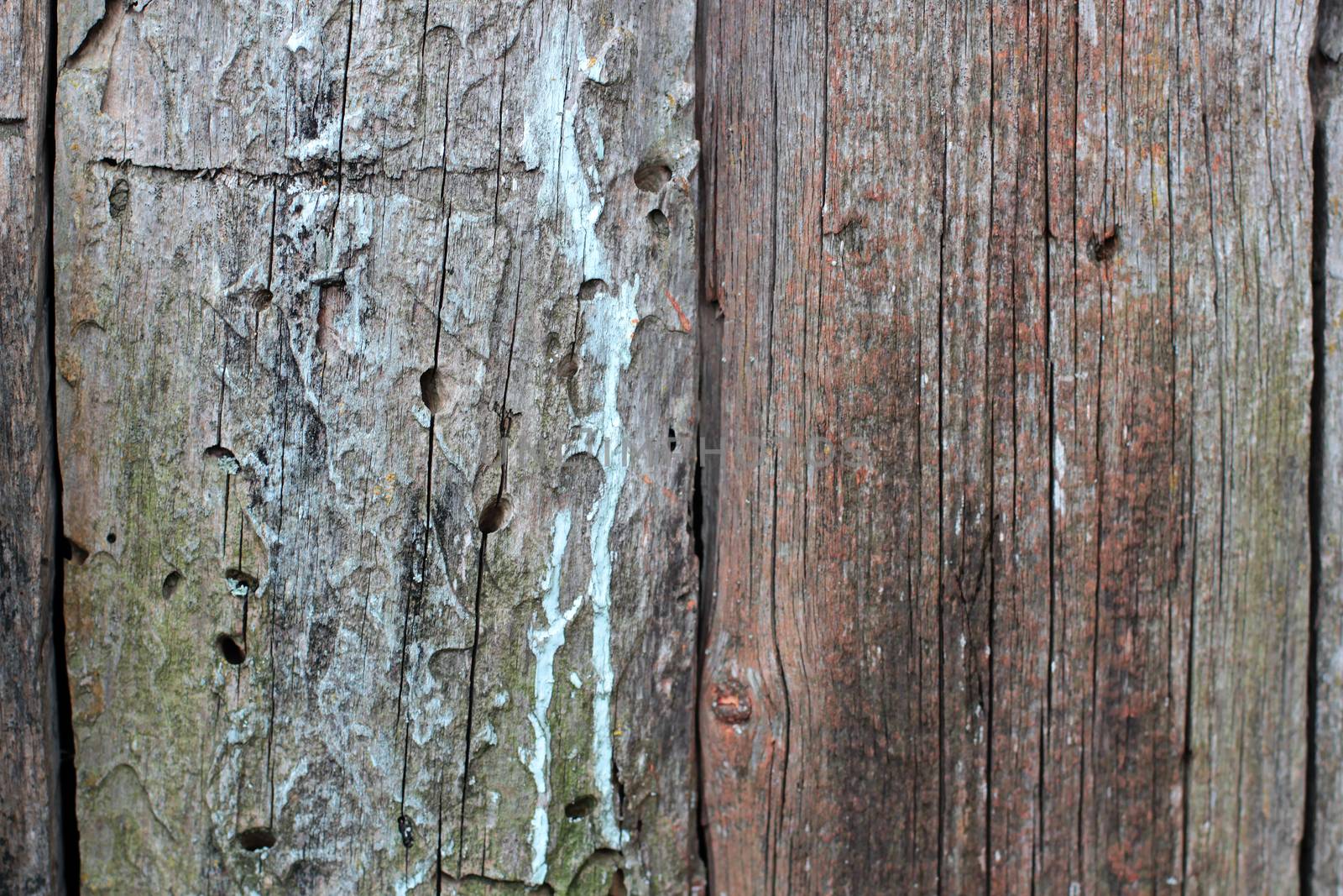 Old wooden fence with remnants of blue and red paint