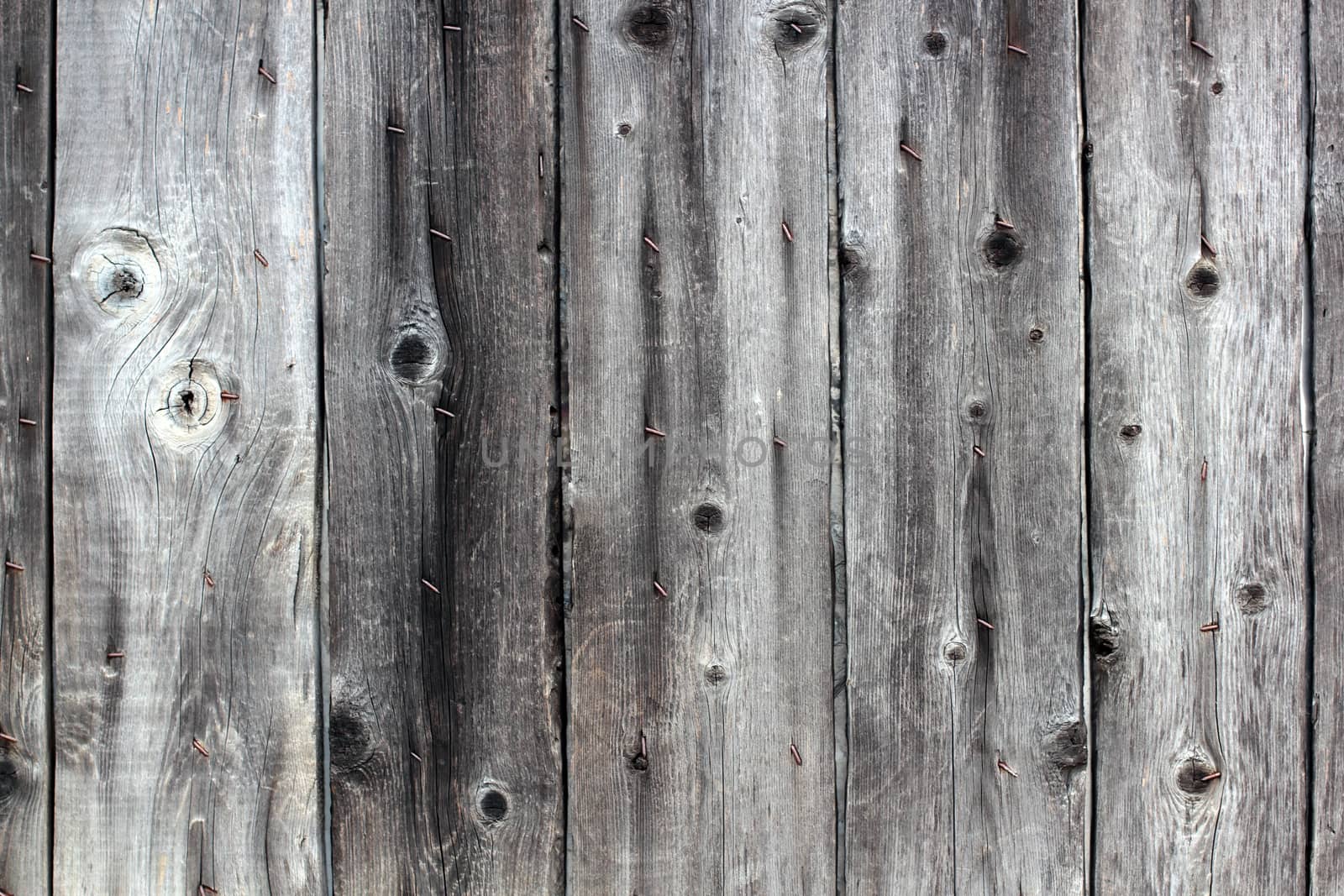 Old gray fence boards with rusty nails background