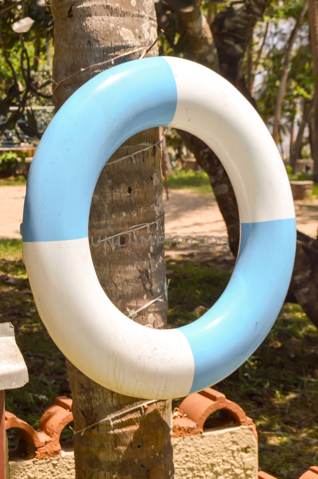 Blue and white rescue buoy hanging from a palm tree trunk in a hotel in Mombasa