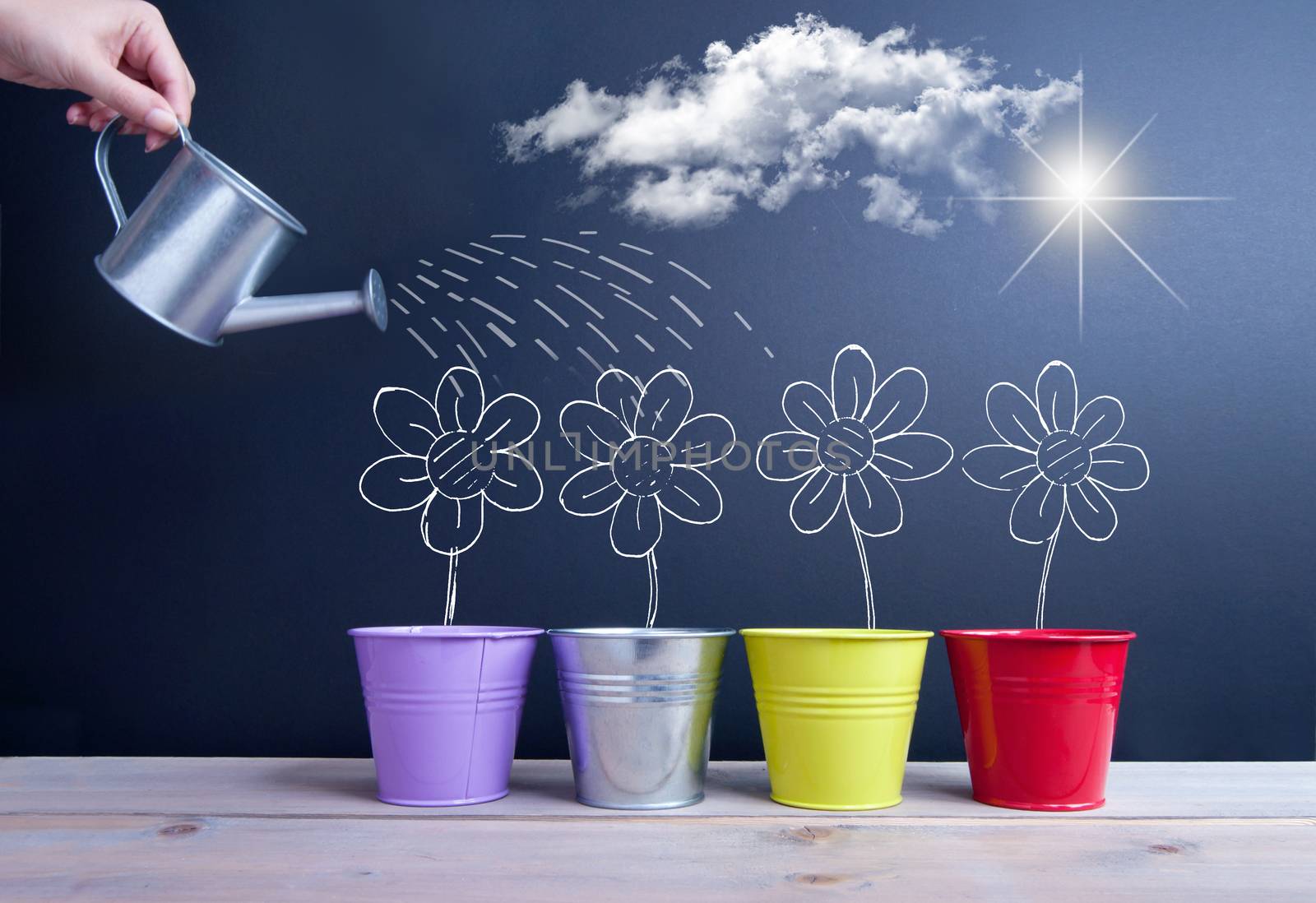 Chalkboard sketch of spring daisies inside flower pots being watered