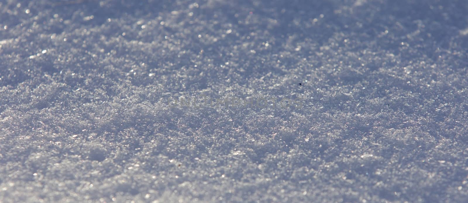 Beautiful pattern of a sunny white snow