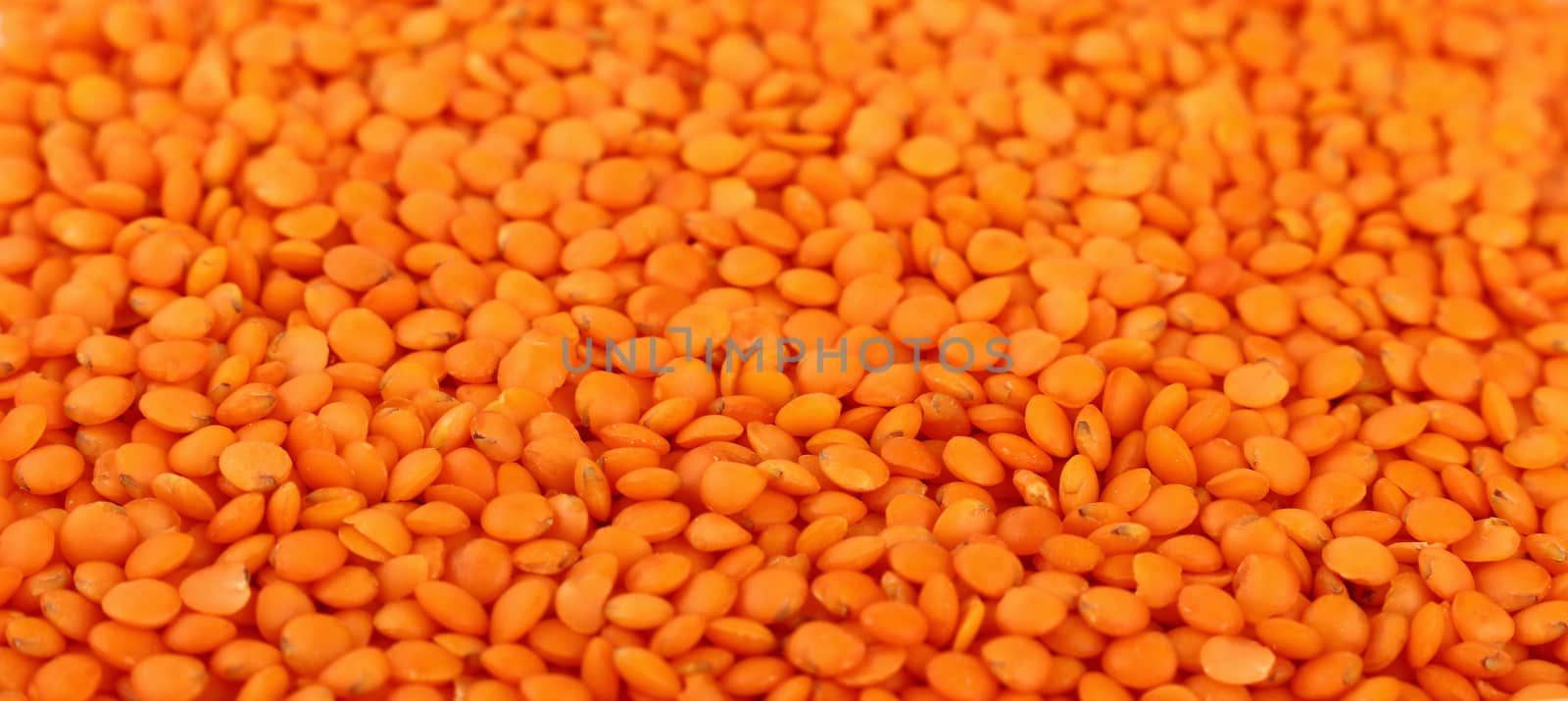 Orange lentil lens close up background by BreakingTheWalls
