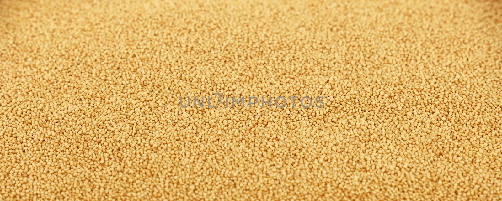 Amaranth grain seeds close up pattern background, low angle view, selective focus