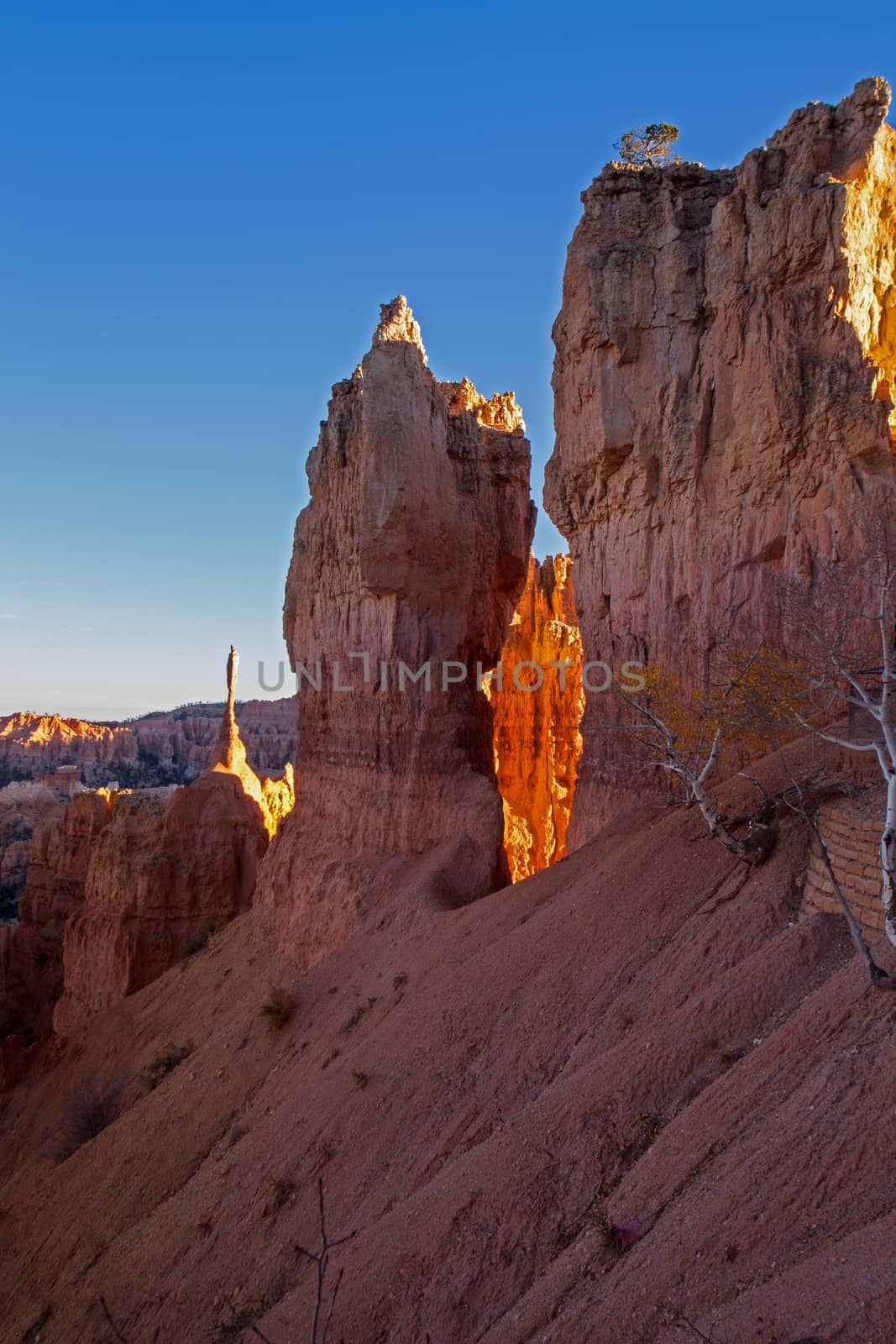 Sunset Point. Bryce Canyon. by kobus_peche