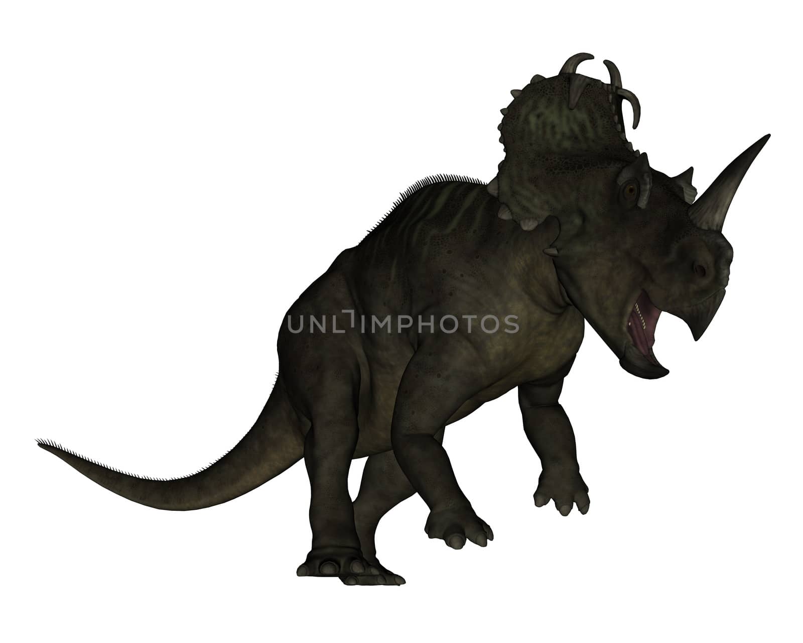 Centrosaurus dinosaur roaring isolated in white background - 3D render