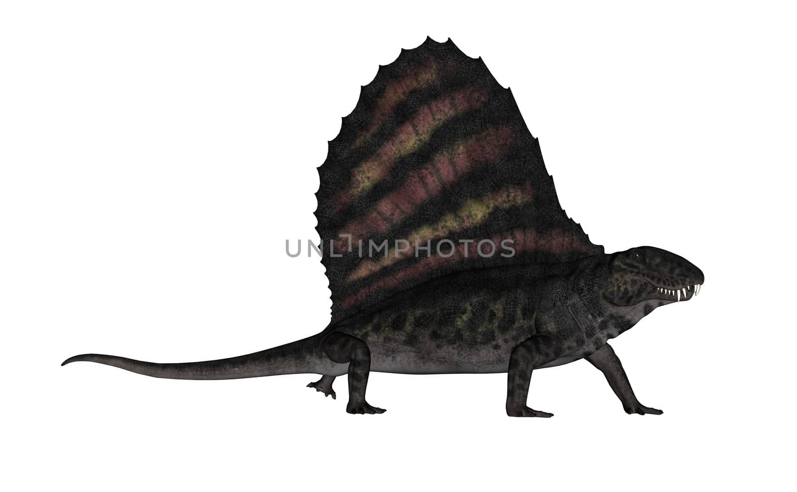 Dimetrodon dinosaur - 3D render by Elenaphotos21