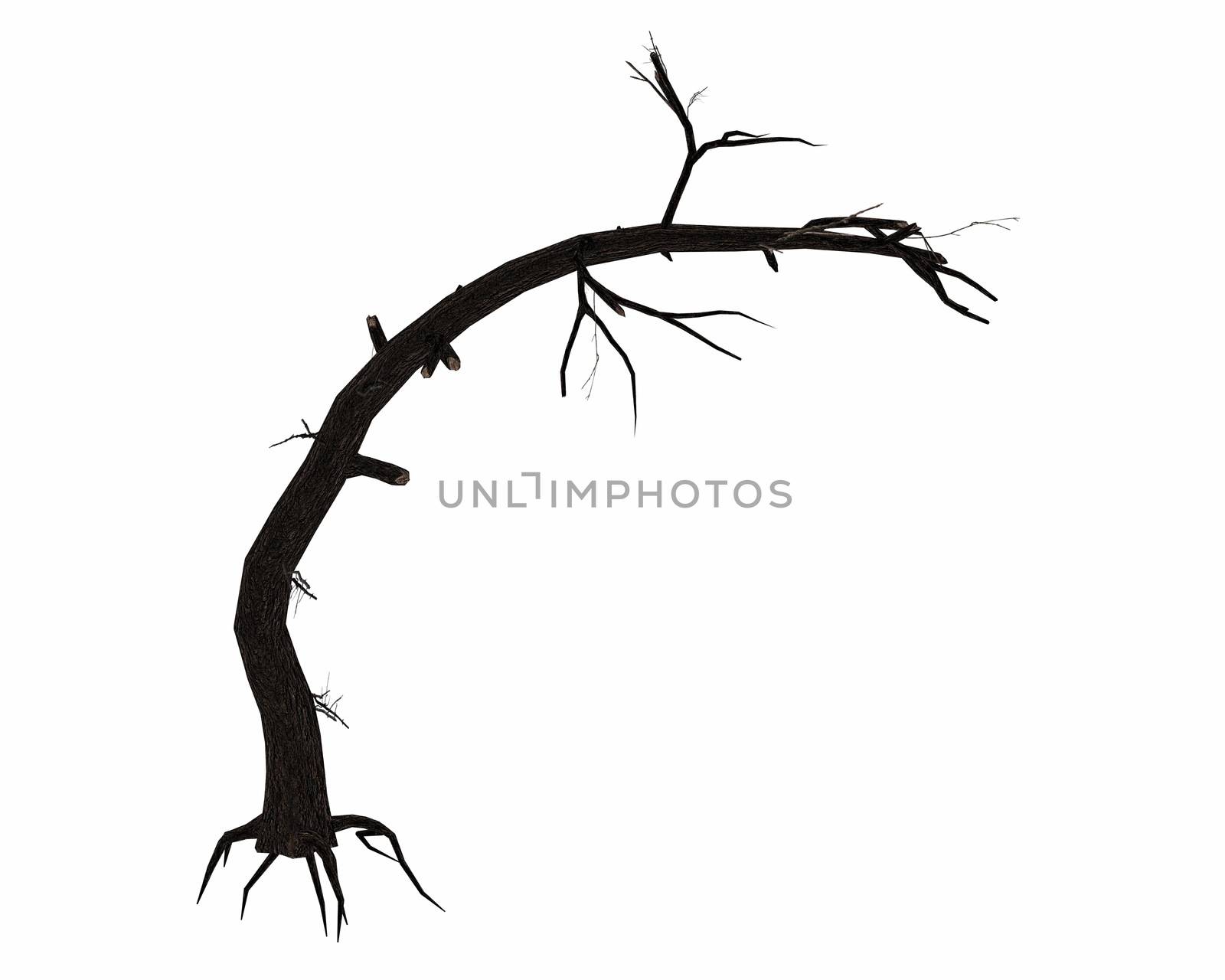 Dead bended tree trunk with big roots isolated in white background - 3D render