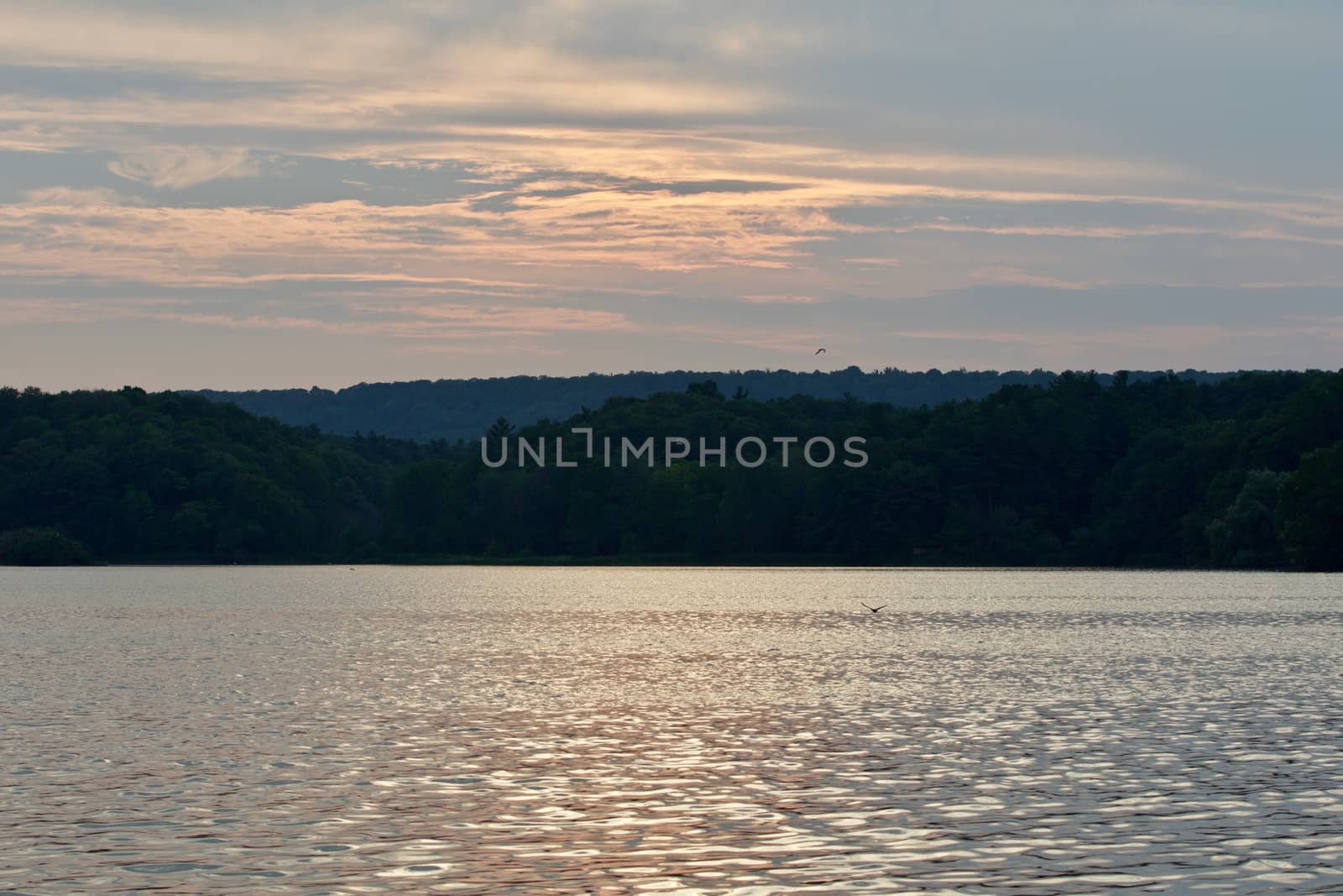 Beautiful landscape with the lake and the forest on the sunset