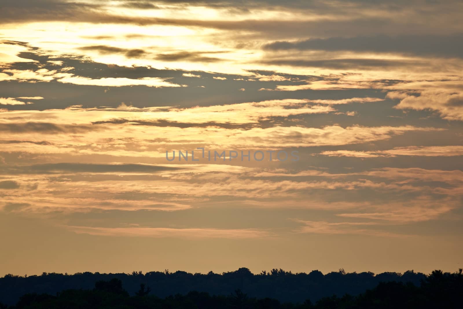 Beautiful isolated picture of a sunset and the forest by teo