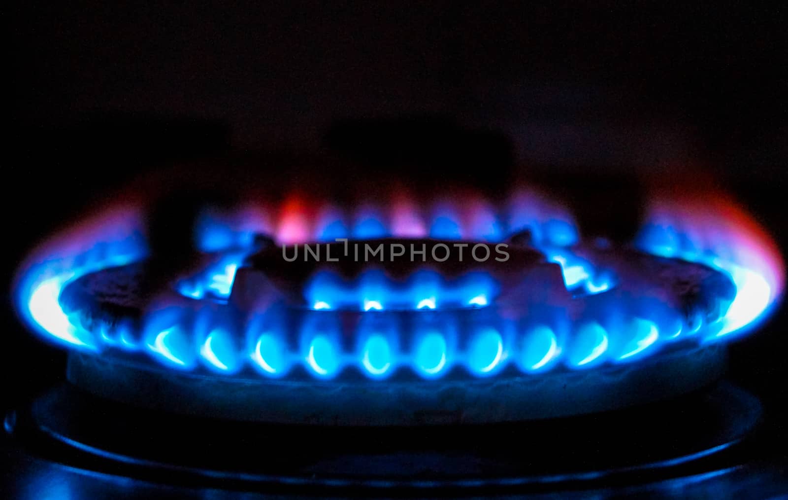 the fire of the gas stove over black background