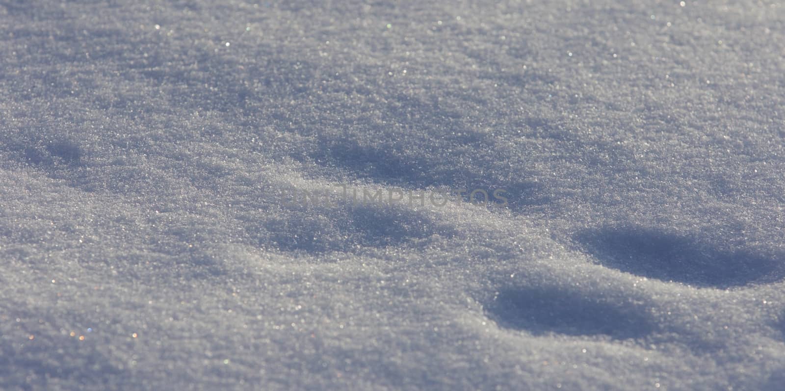 Beautiful isoalted photo of a sunny white snow with the footprints by teo