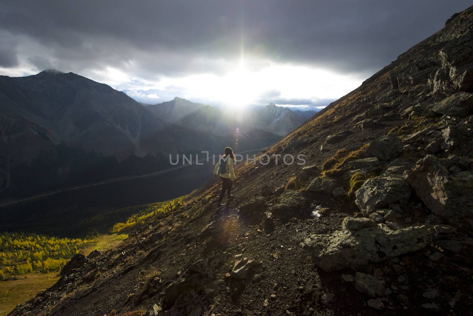 One caucasian girl hiking up mountain ridge in the morning light during the fall.