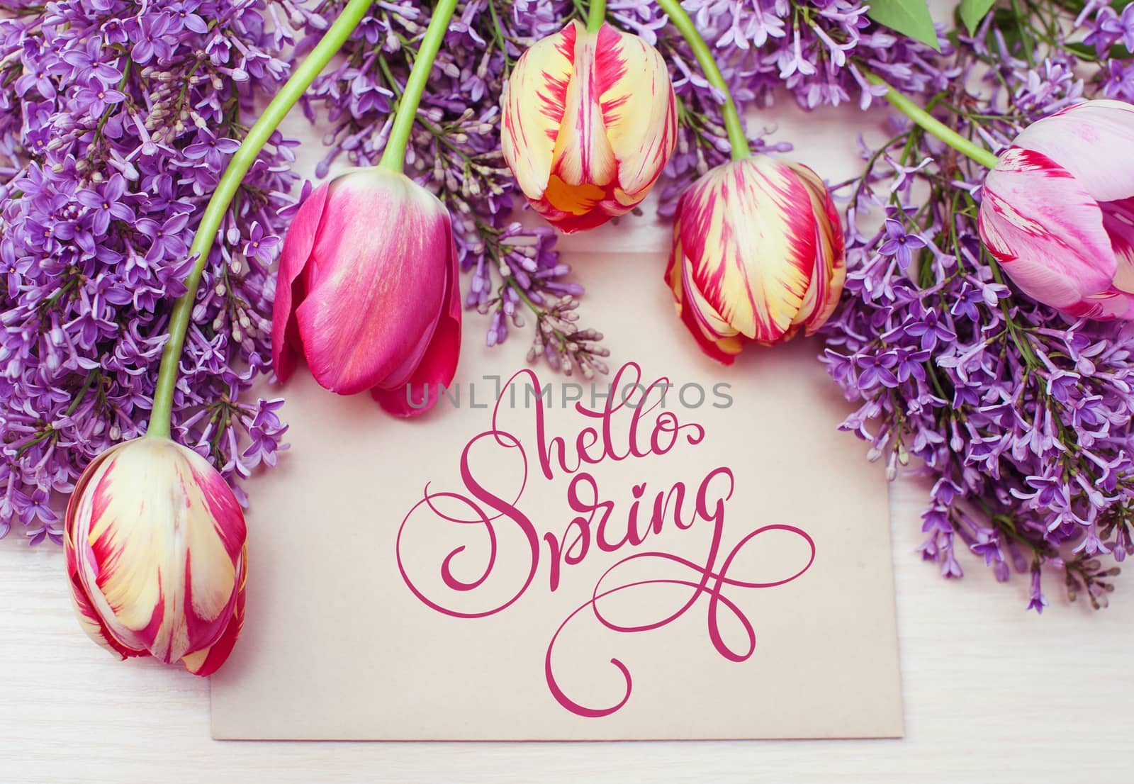 frame from tulips and lilac and place for text greeting card and text Hello Spring. Calligraphy lettering by timonko