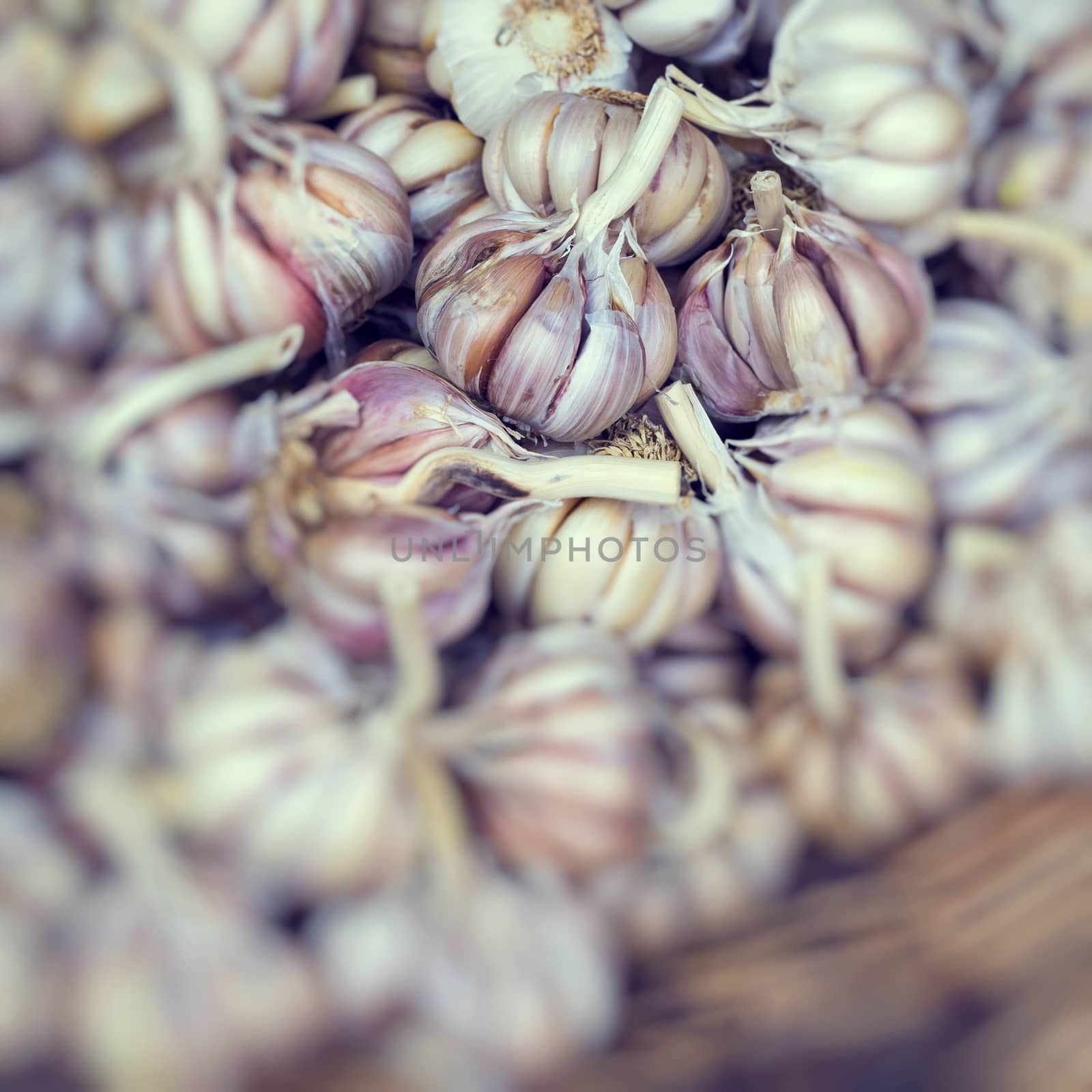 fresh garlics in a market

