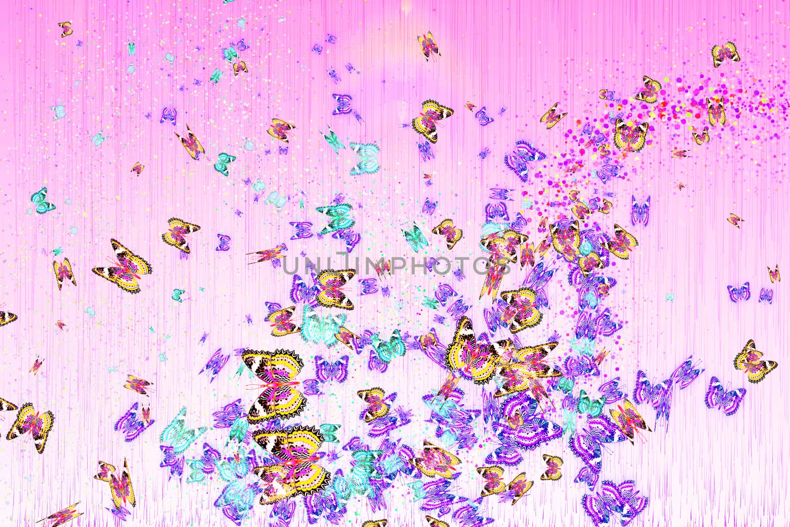 Multicolored butterflies on a pink background by lindamka