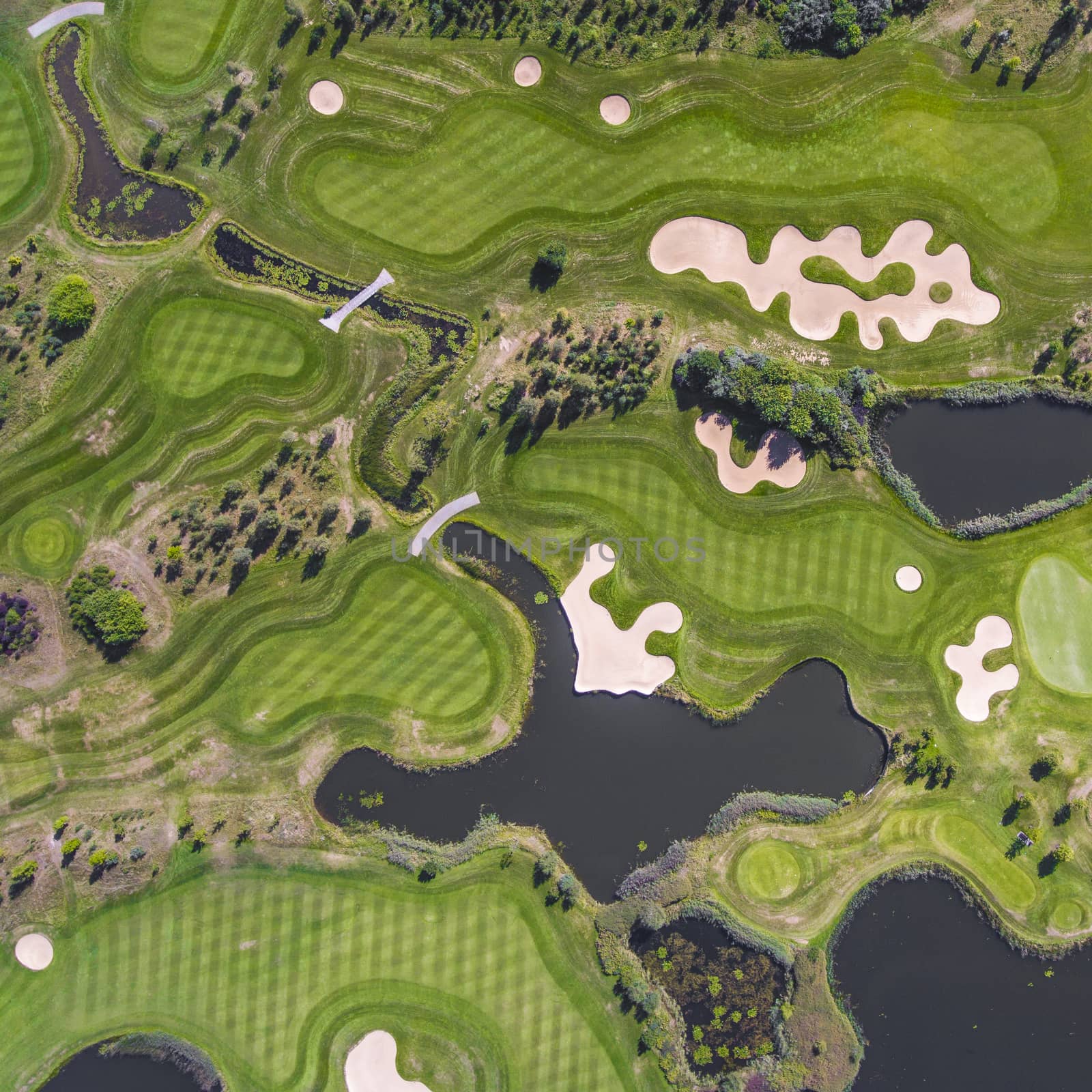 Aerial view over golf field in Poland. Summer time.