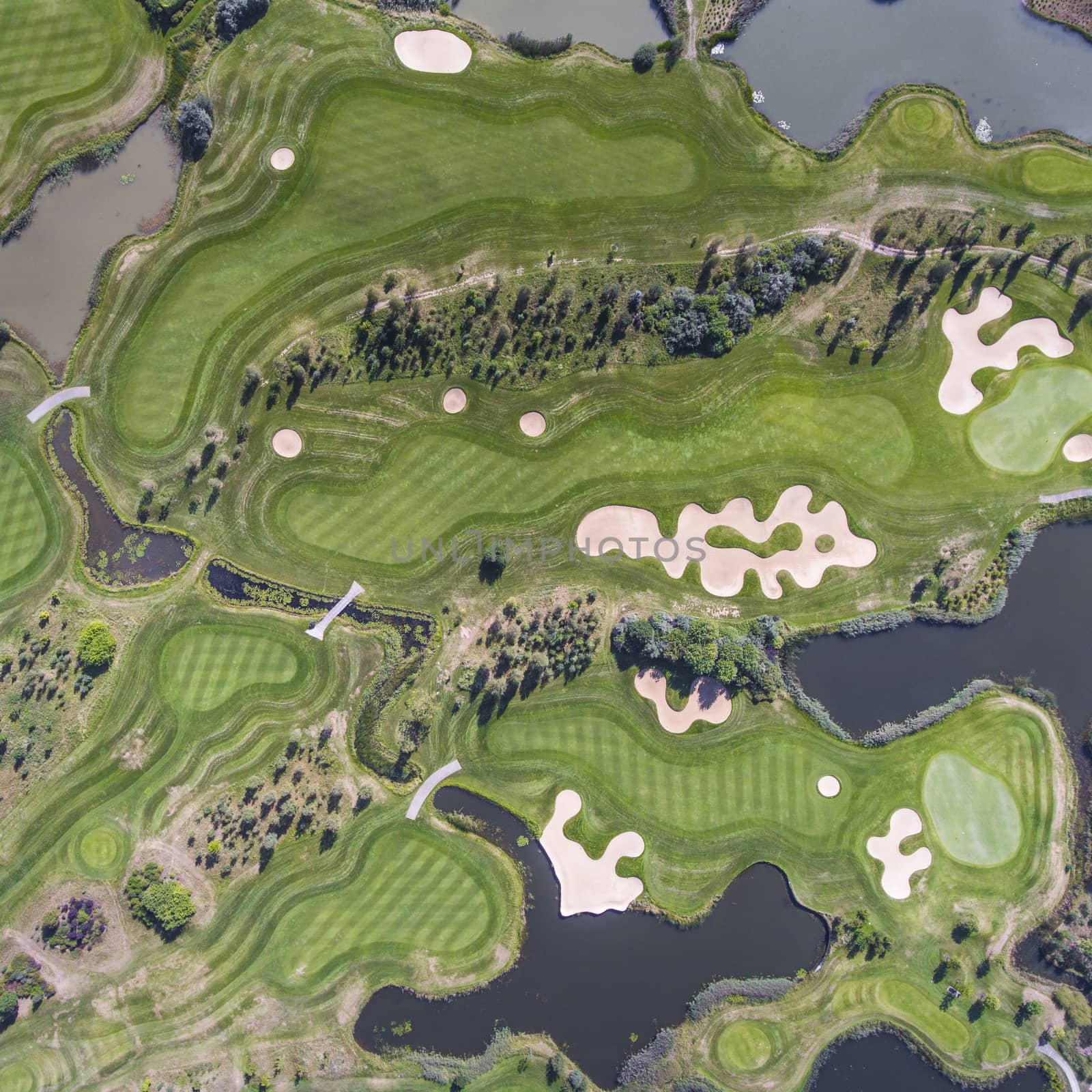 Aerial view over golf field in Poland. Summer time. by mariusz_prusaczyk