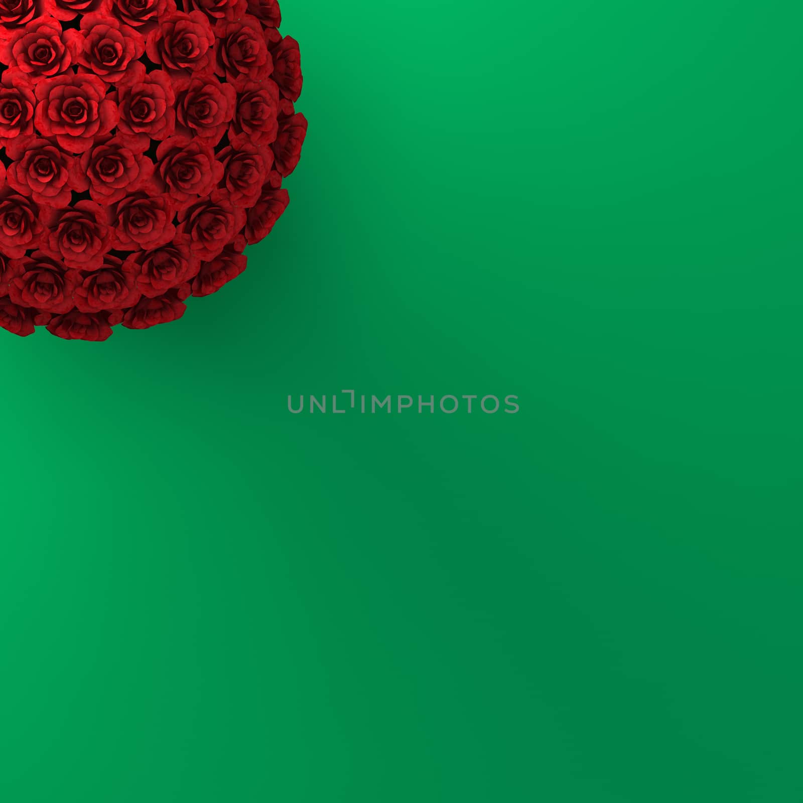 TOP VIEW OF ROSES ON PLAIN GREEN BACKGROUND