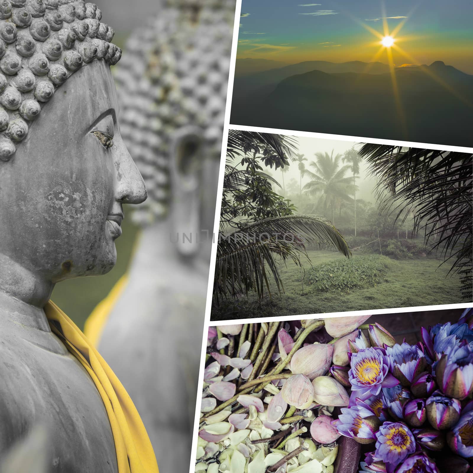 Collage of Most Beautiful and Breathtaking Places in Sri Lanka - my photos