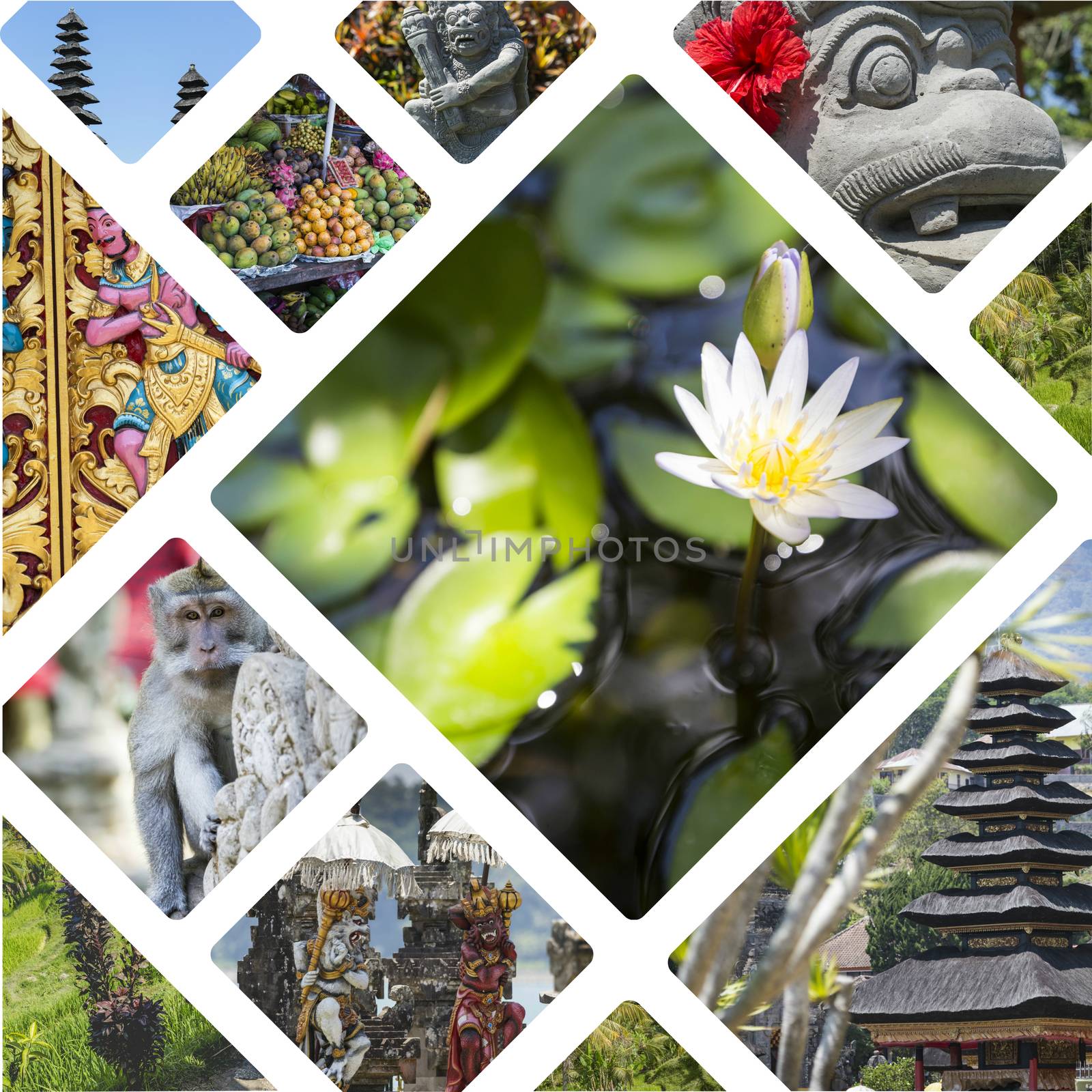 Collage of Bali (Indonesia) images - travel background (my photos)