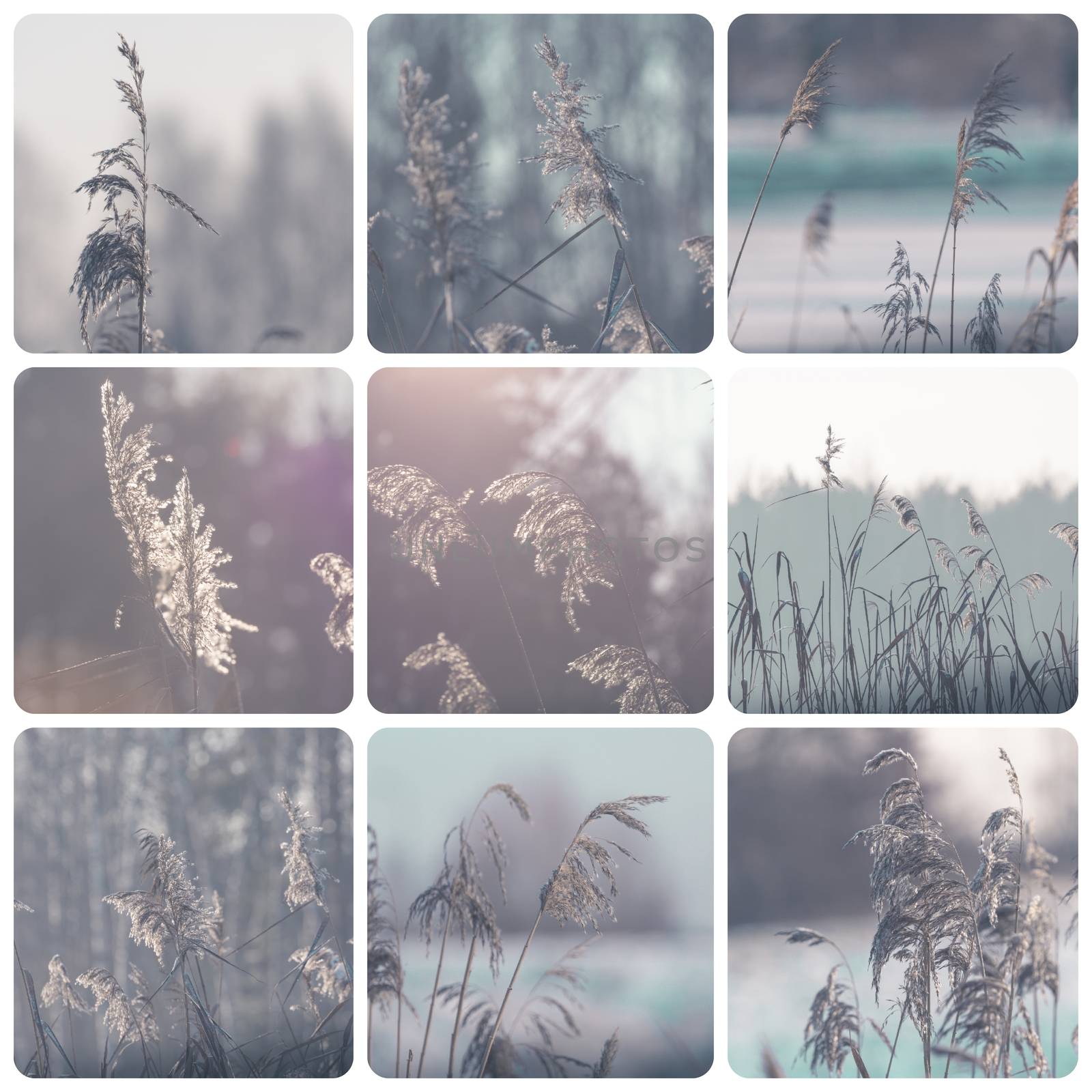 Collage of winter images - travel background (my photos) by mariusz_prusaczyk