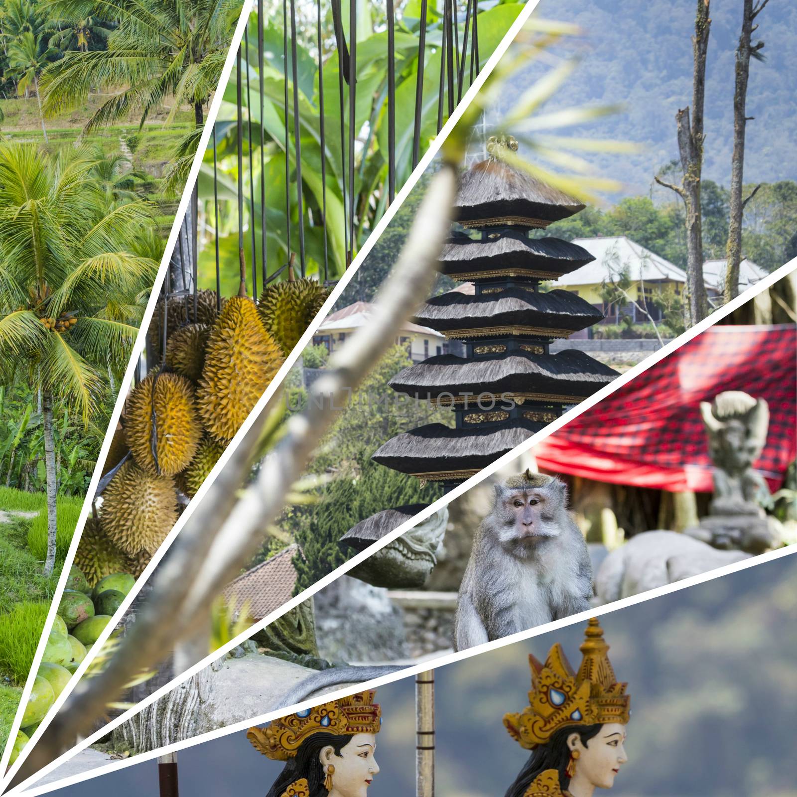 Collage of Bali (Indonesia) images - travel background (my photo by mariusz_prusaczyk