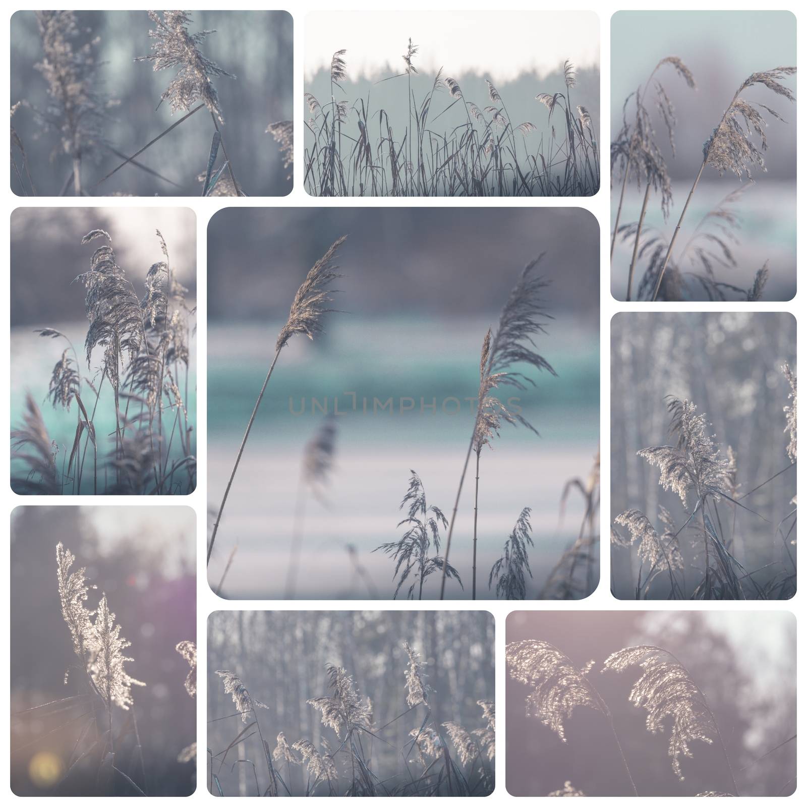 Collage of winter images - travel background (my photos) by mariusz_prusaczyk