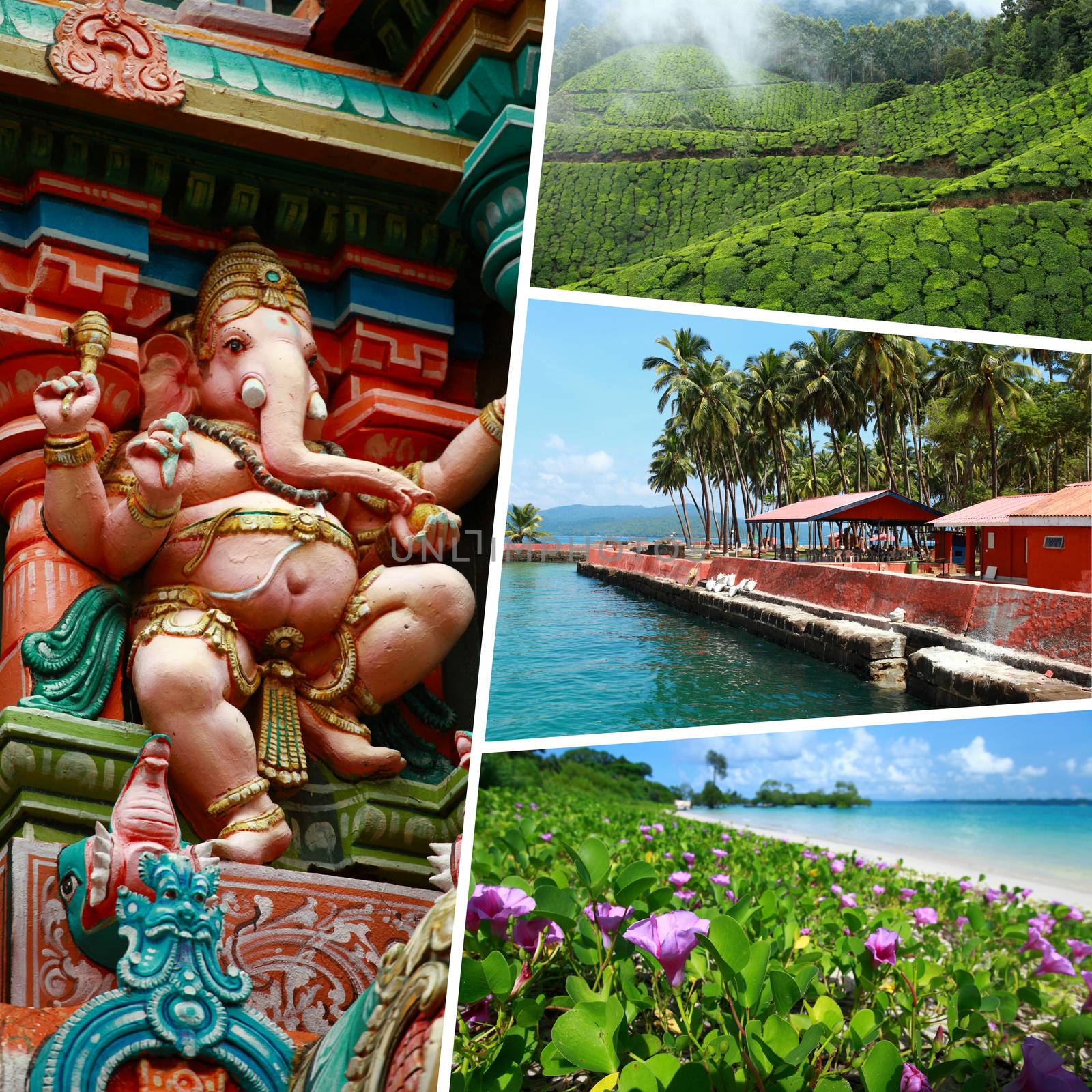 Collage of India images - travel background (my photos)