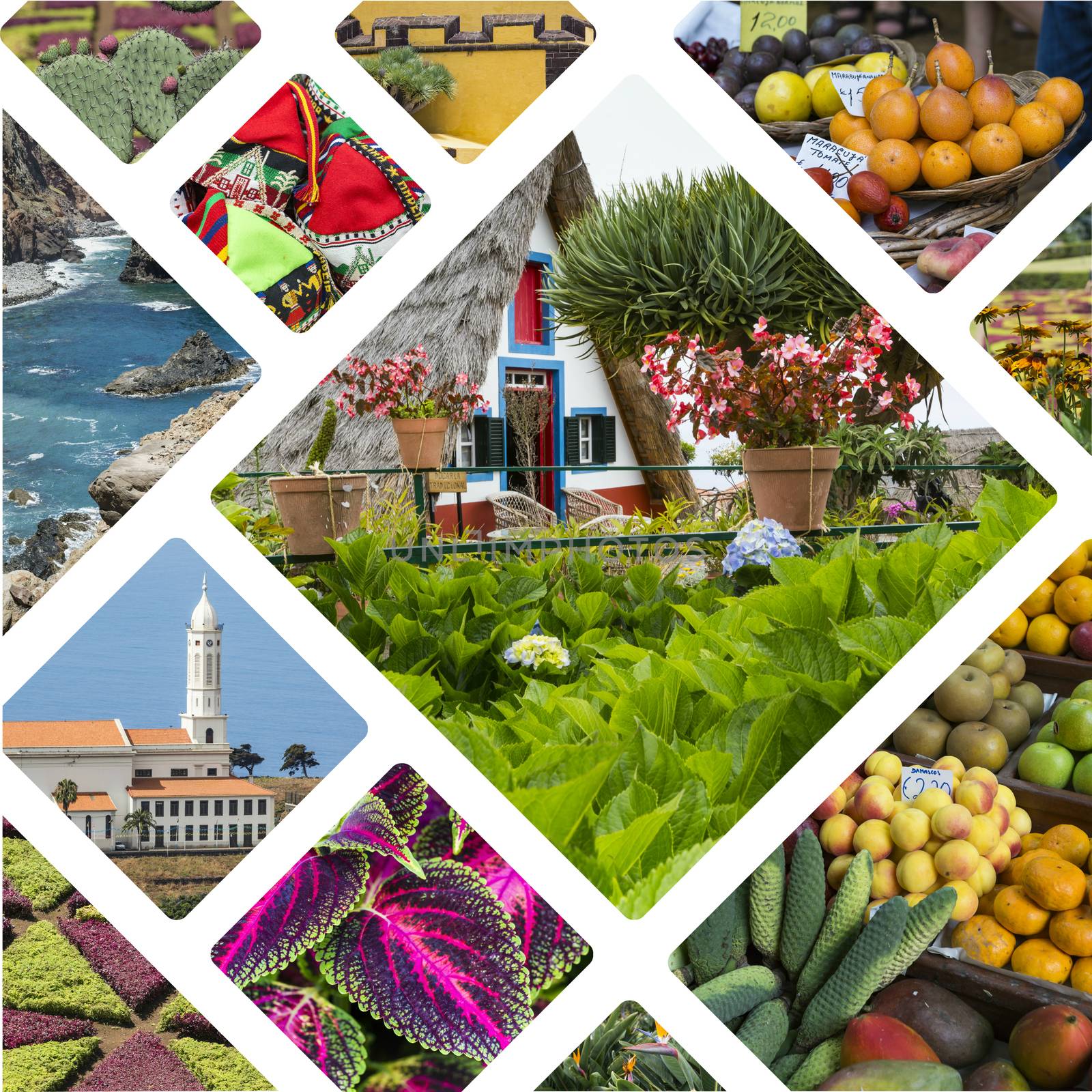 Collage of Madeira (Portugal) images - travel background (my pho by mariusz_prusaczyk