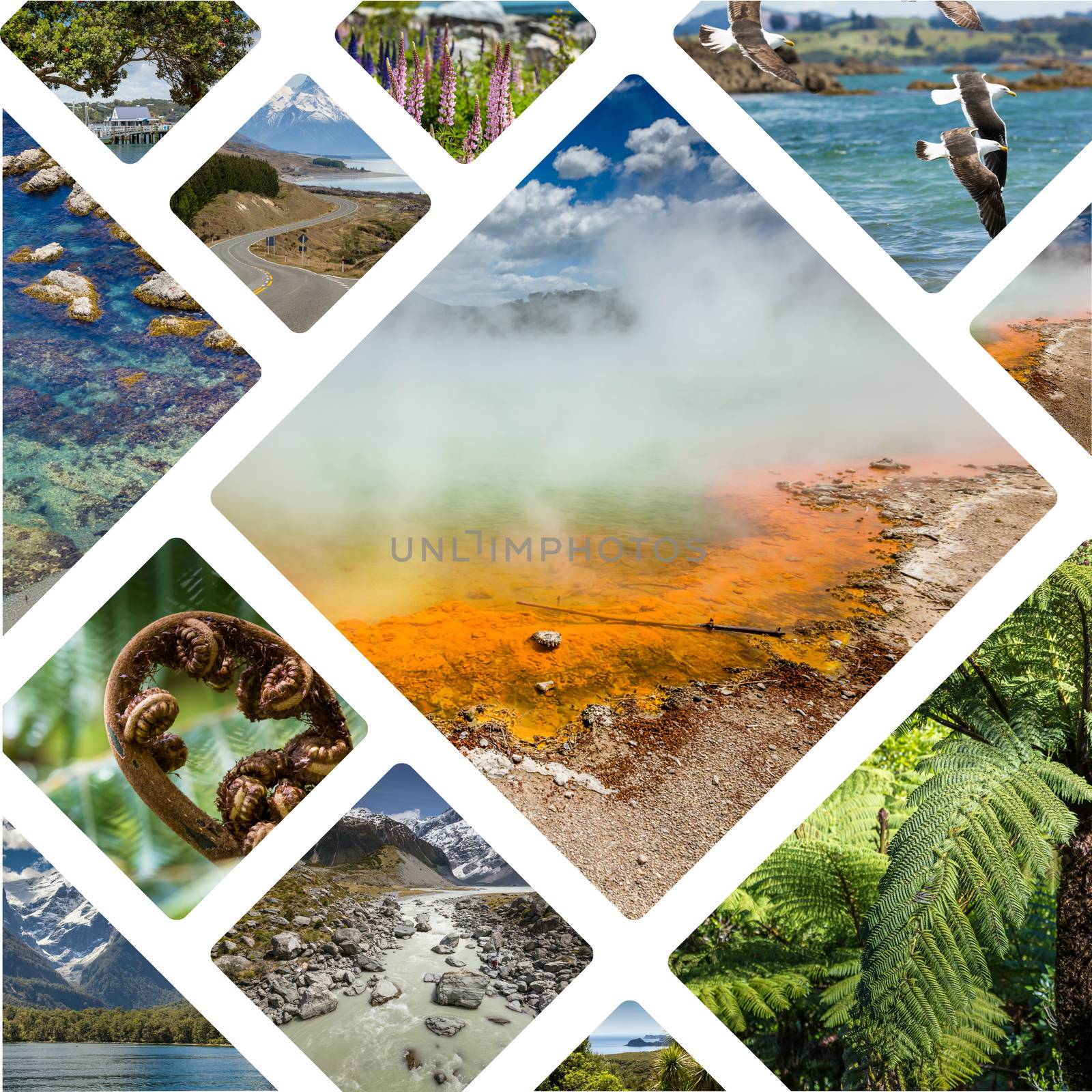 Collage of New Zealand images - travel background (my photos)